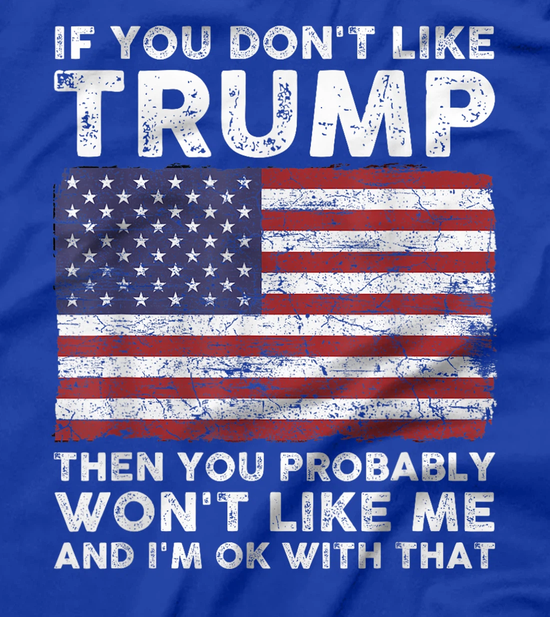 If You Don't Like Trump Then You Probably Won't Like Me T-Shirt