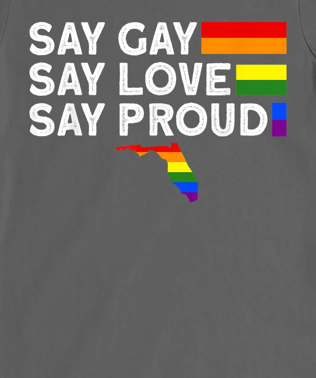 Florida Gay Say Gay Say Stay Proud LGBTQ Gay Rights LGBTQ T-Shirt, Women T-Shirt