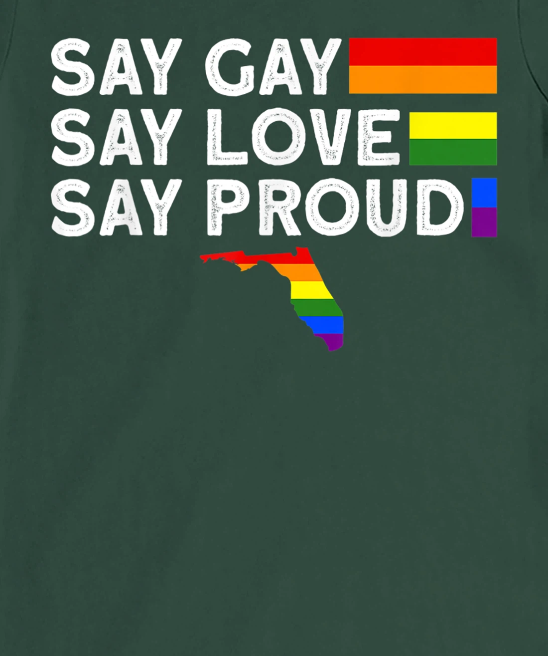 Florida Gay Say Gay Say Stay Proud LGBTQ Gay Rights LGBTQ T-Shirt, Women T-Shirt
