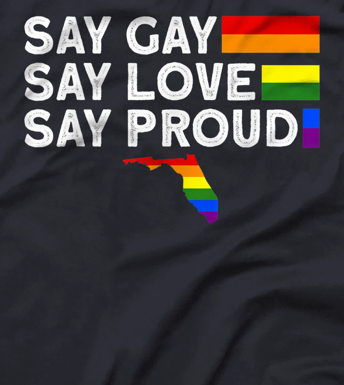 Florida Gay Say Gay Say Stay Proud LGBTQ Gay Rights LGBTQ T-Shirt, Women T-Shirt