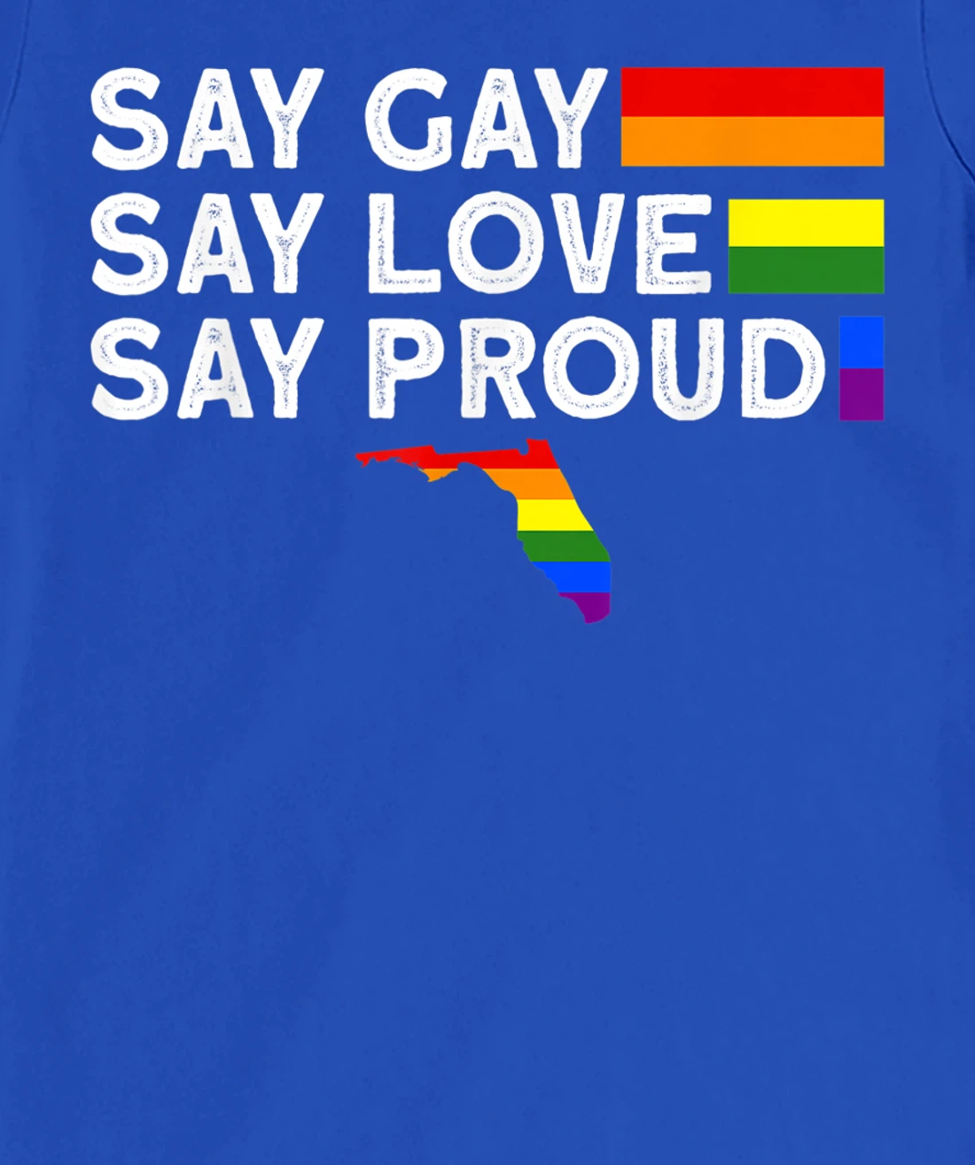 Florida Gay Say Gay Say Stay Proud LGBTQ Gay Rights LGBTQ T-Shirt, Women T-Shirt
