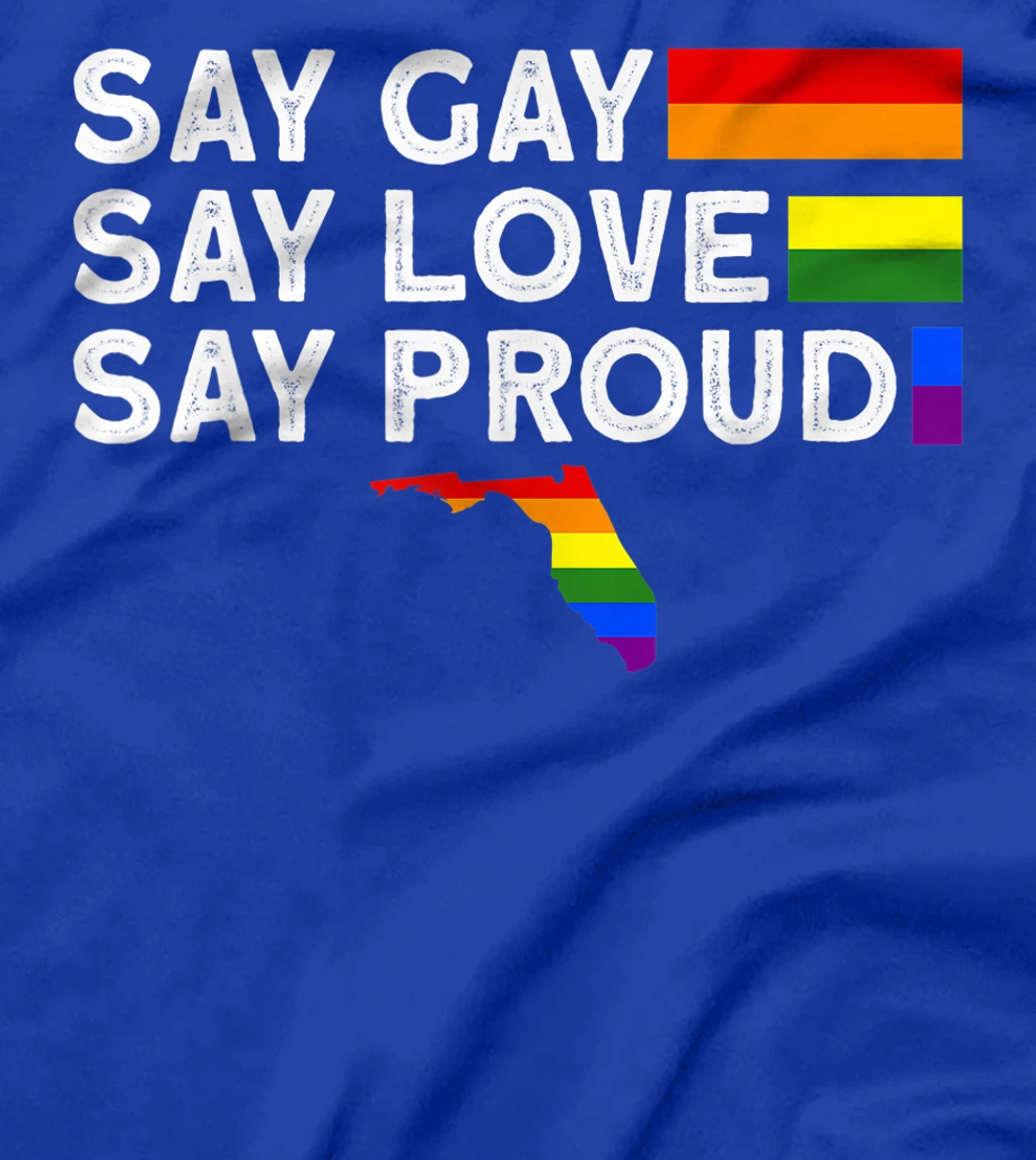 Florida Gay Say Gay Say Stay Proud LGBTQ Gay Rights LGBTQ T-Shirt, Women T-Shirt