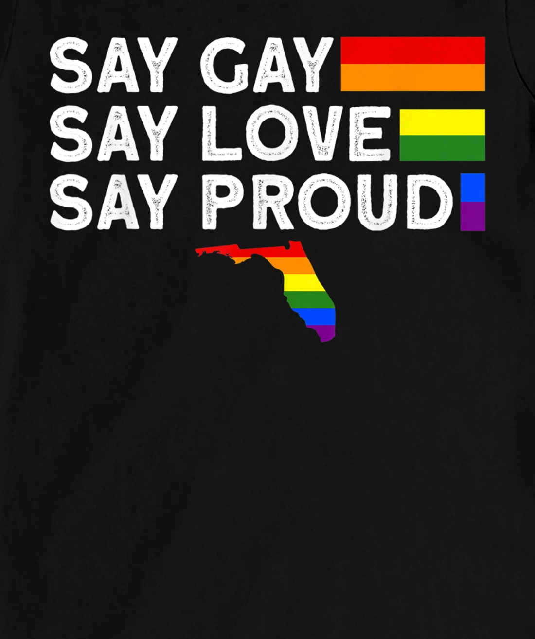 Florida Gay Say Gay Say Stay Proud LGBTQ Gay Rights LGBTQ T-Shirt, Women T-Shirt