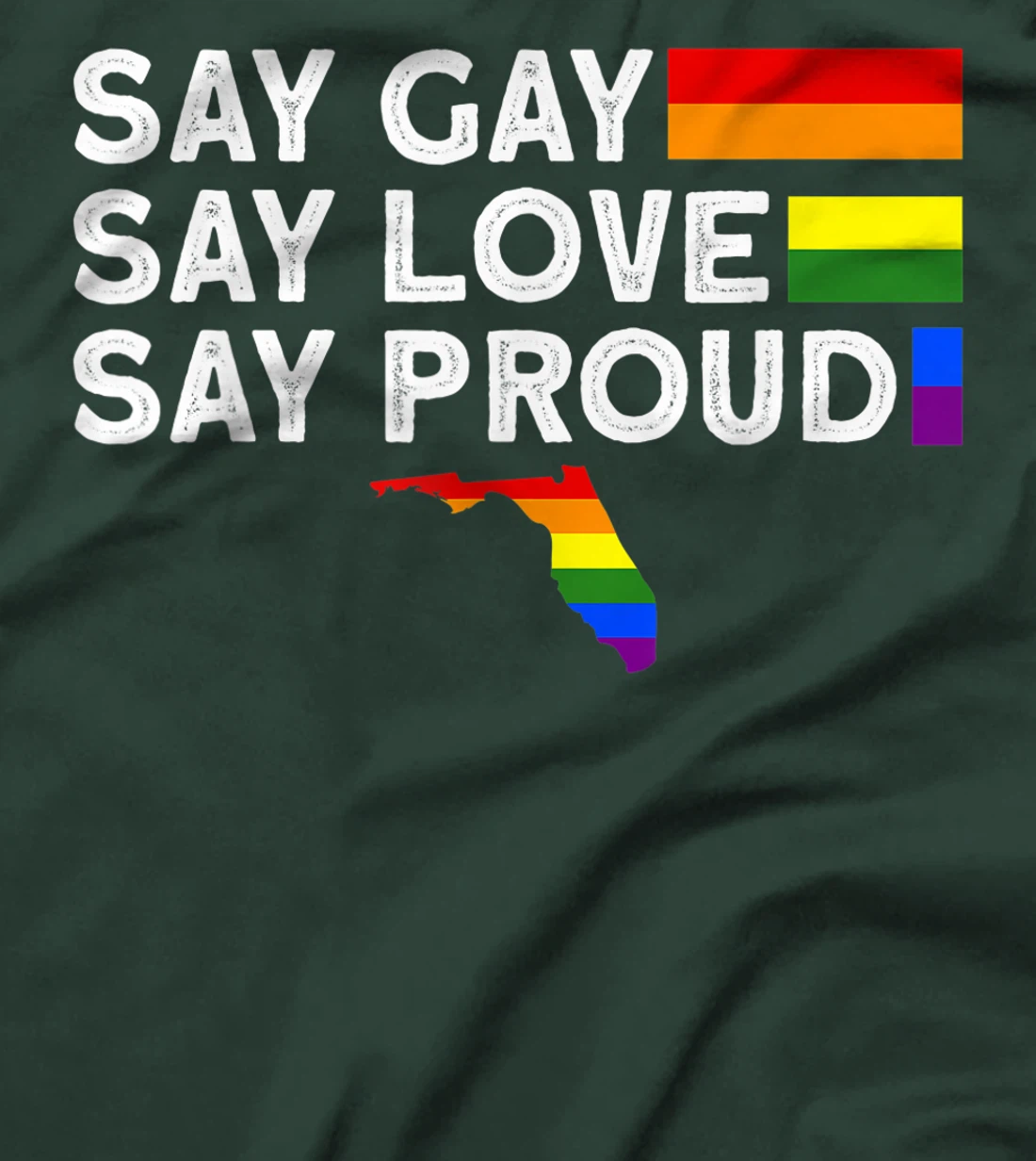 Florida Gay Say Gay Say Stay Proud LGBTQ Gay Rights LGBTQ T-Shirt, Women T-Shirt
