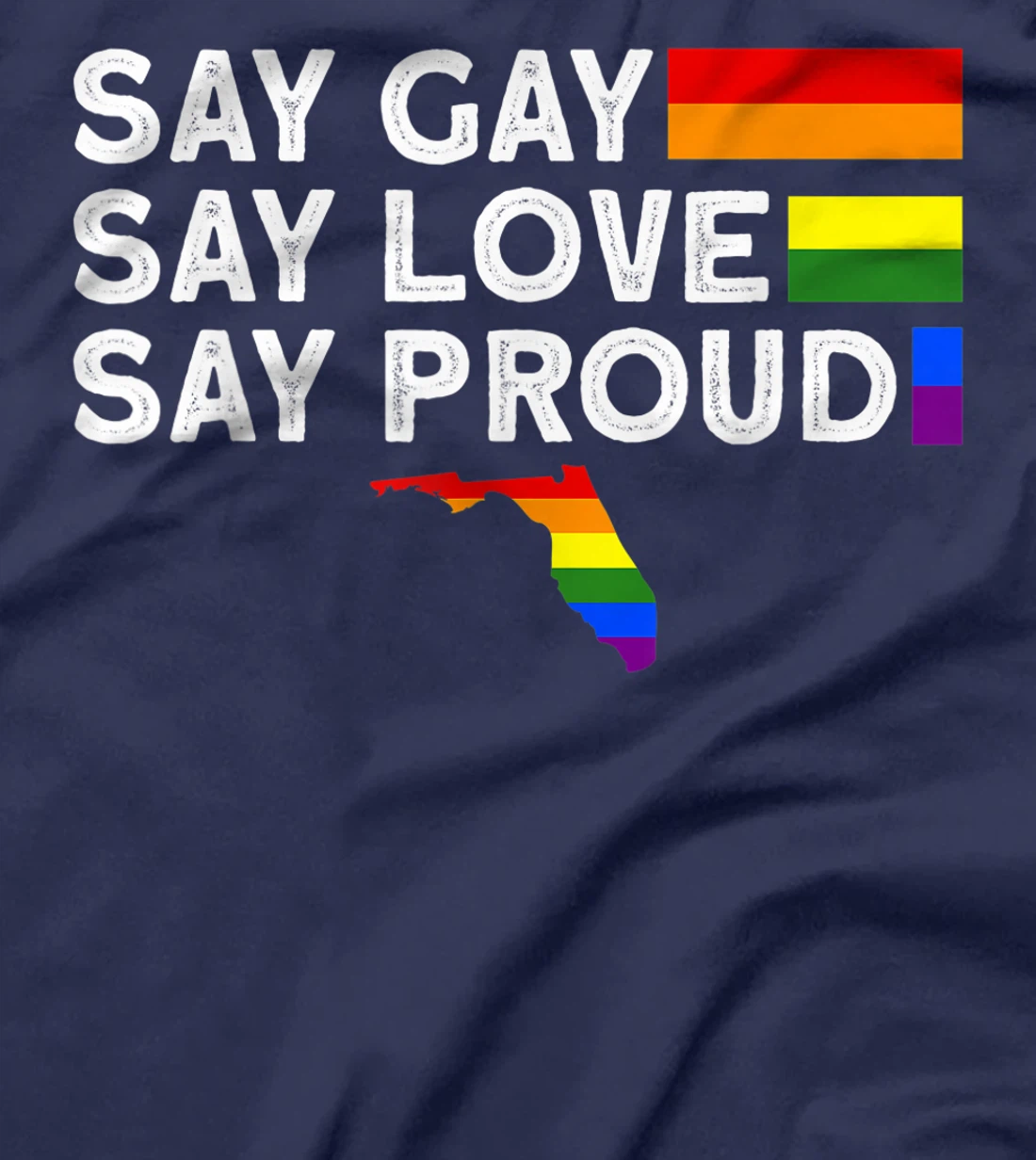 Florida Gay Say Gay Say Stay Proud LGBTQ Gay Rights LGBTQ T-Shirt, Women T-Shirt