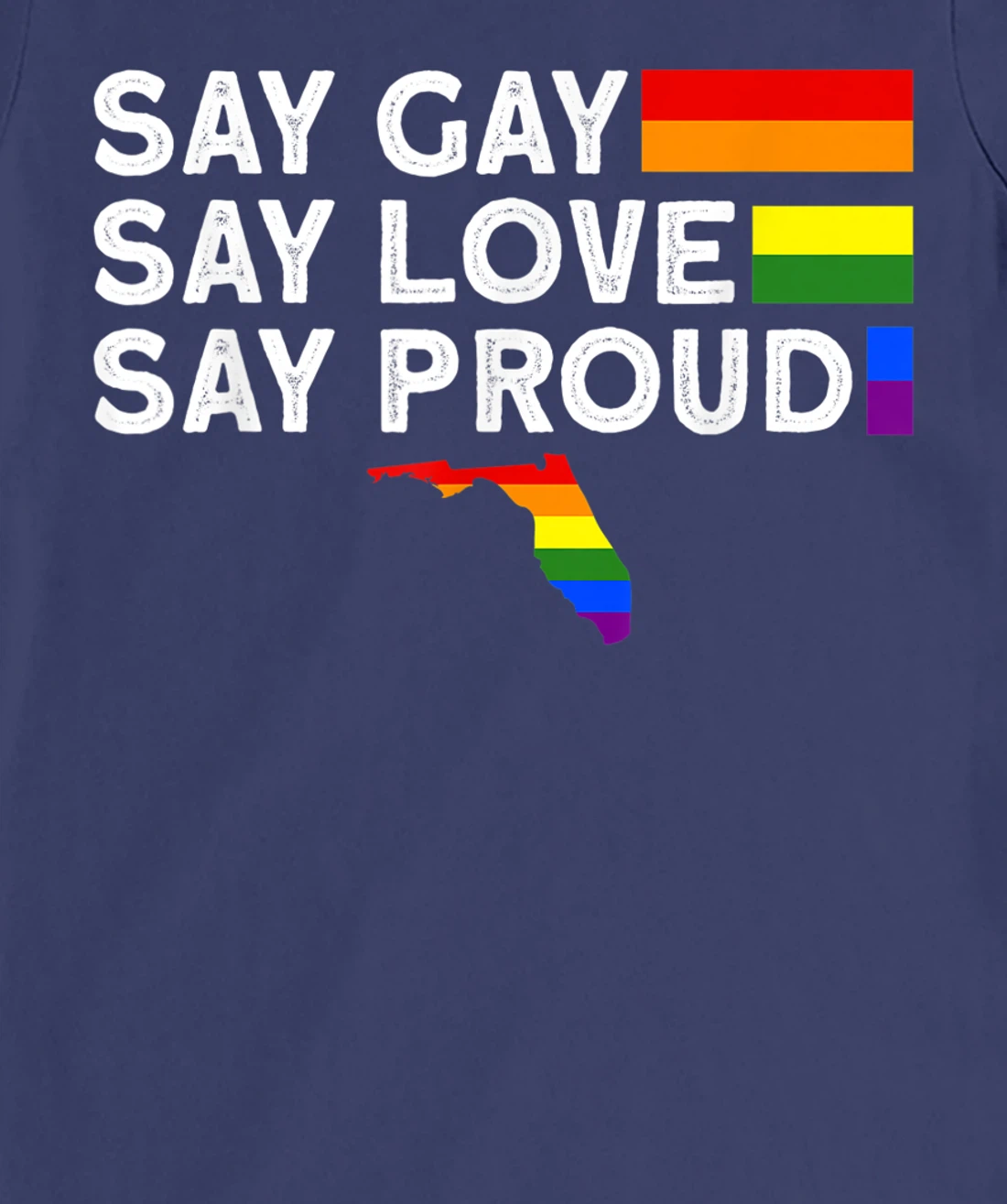 Florida Gay Say Gay Say Stay Proud LGBTQ Gay Rights LGBTQ T-Shirt, Women T-Shirt