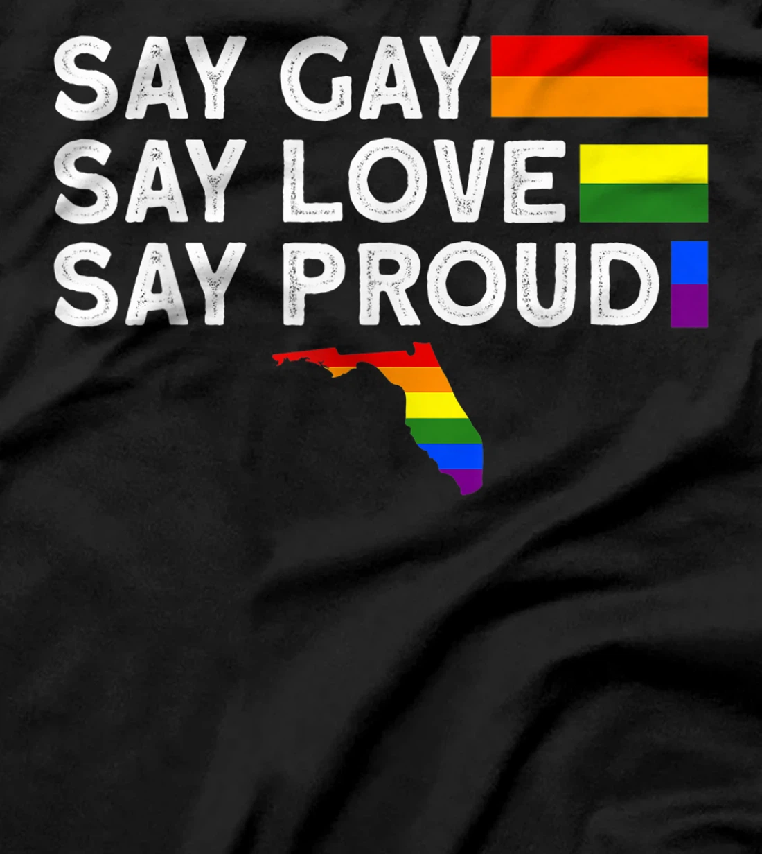 Florida Gay Say Gay Say Stay Proud LGBTQ Gay Rights LGBTQ T-Shirt, Women T-Shirt