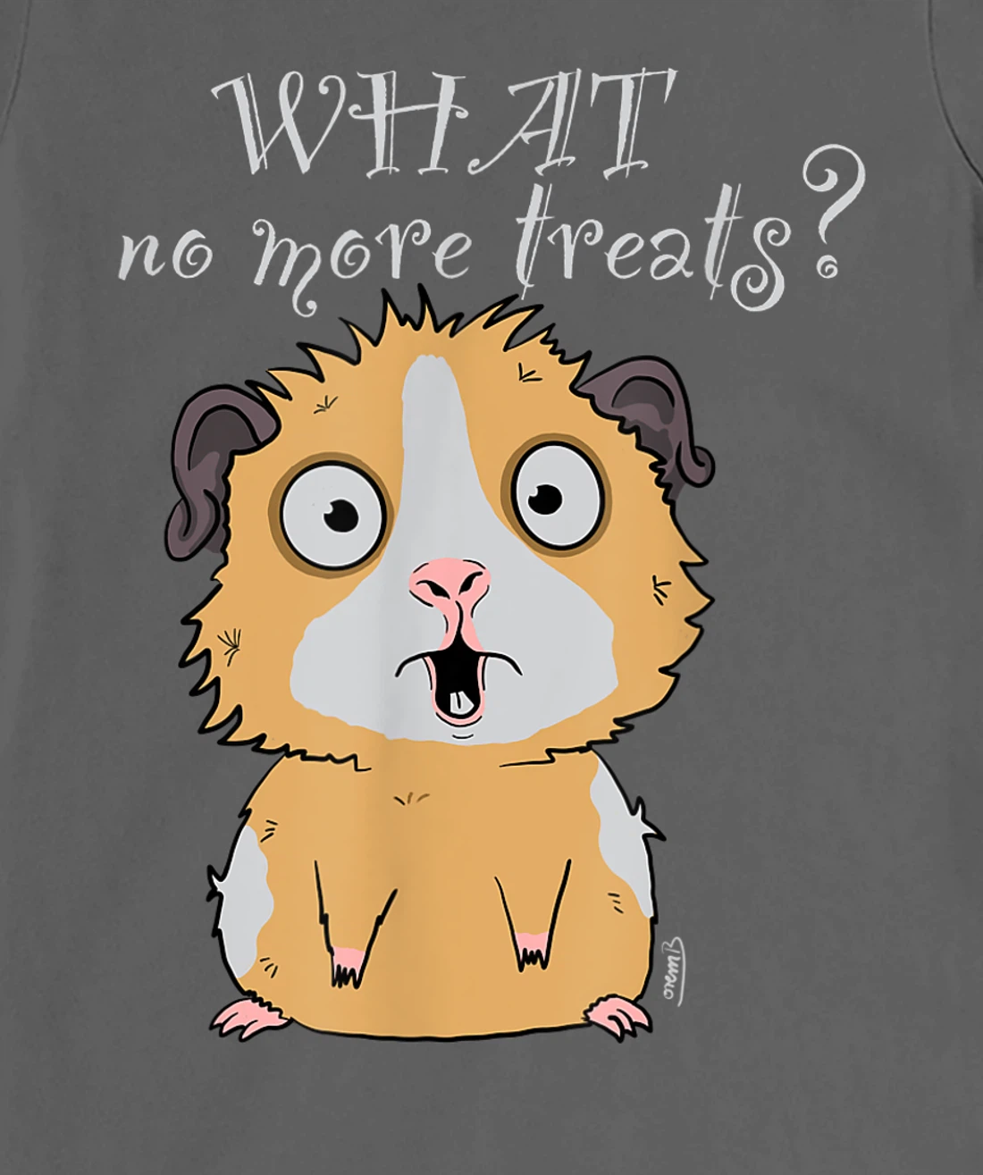 Guinea pig no treats funny guinea pig T-Shirt, Kid T-Shirt and Women T-Shirt