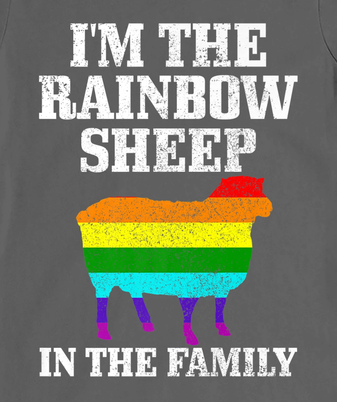 Gay Pride Month Funny LGBTQ Rainbow Flag Sheep Queer T-Shirt, Women T-Shirt