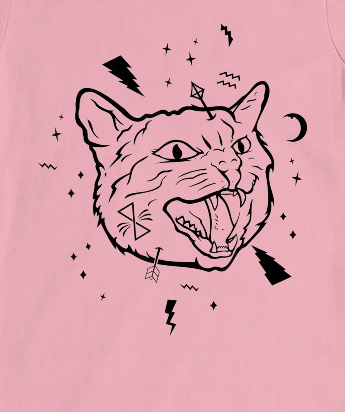 Like Cat Like Owner - Nasty Cat T-Shirt, Women T-Shirt