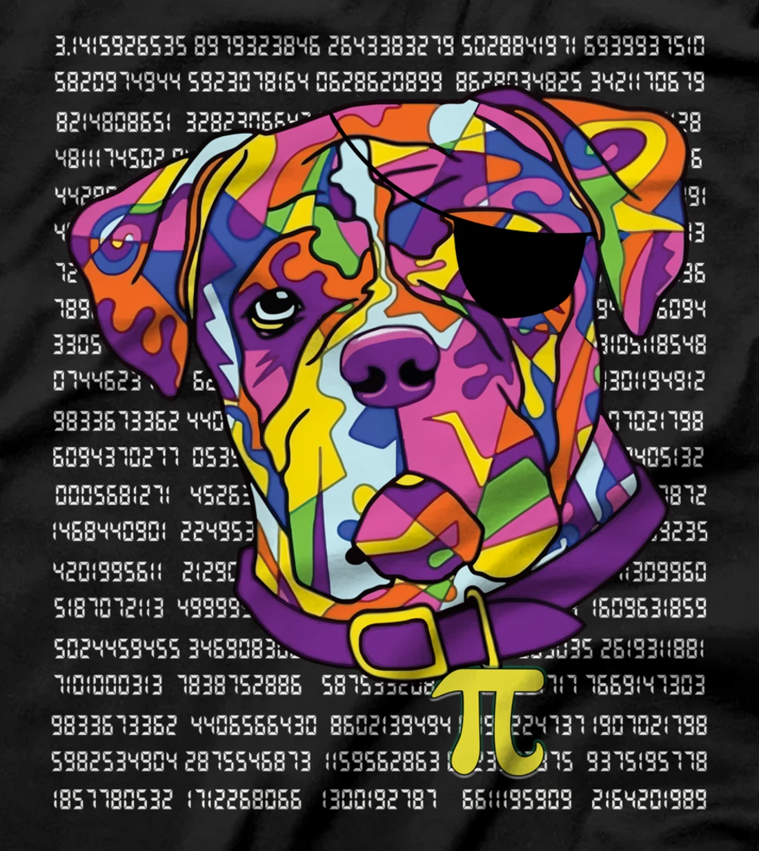 Boxer Pirate Costume Pi Day Math Teachers Gift T-Shirt