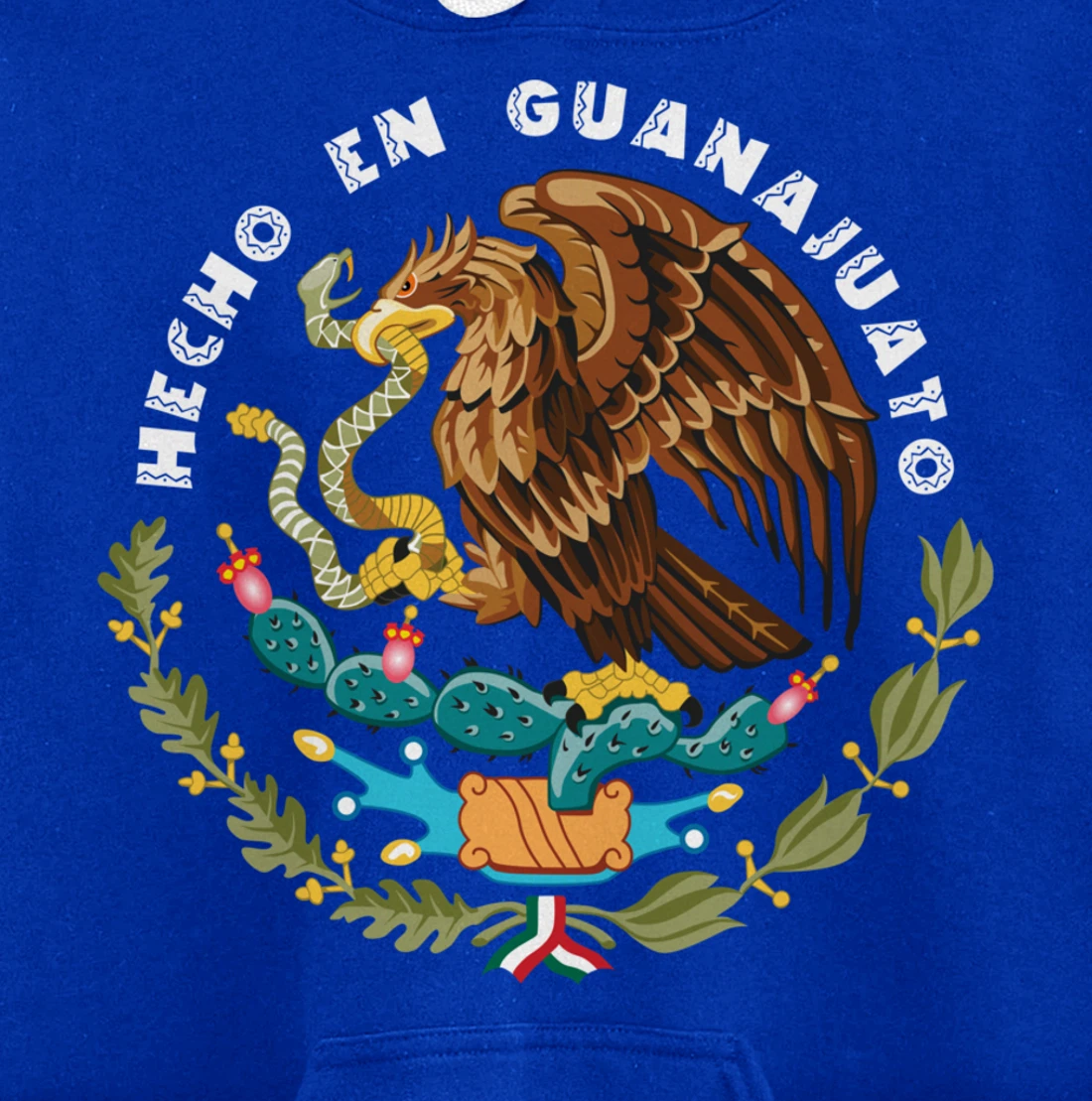 Hecho En Guanajuato Mexico Escudo Aguila Mexican Eagle Flag Pullover Hoodie