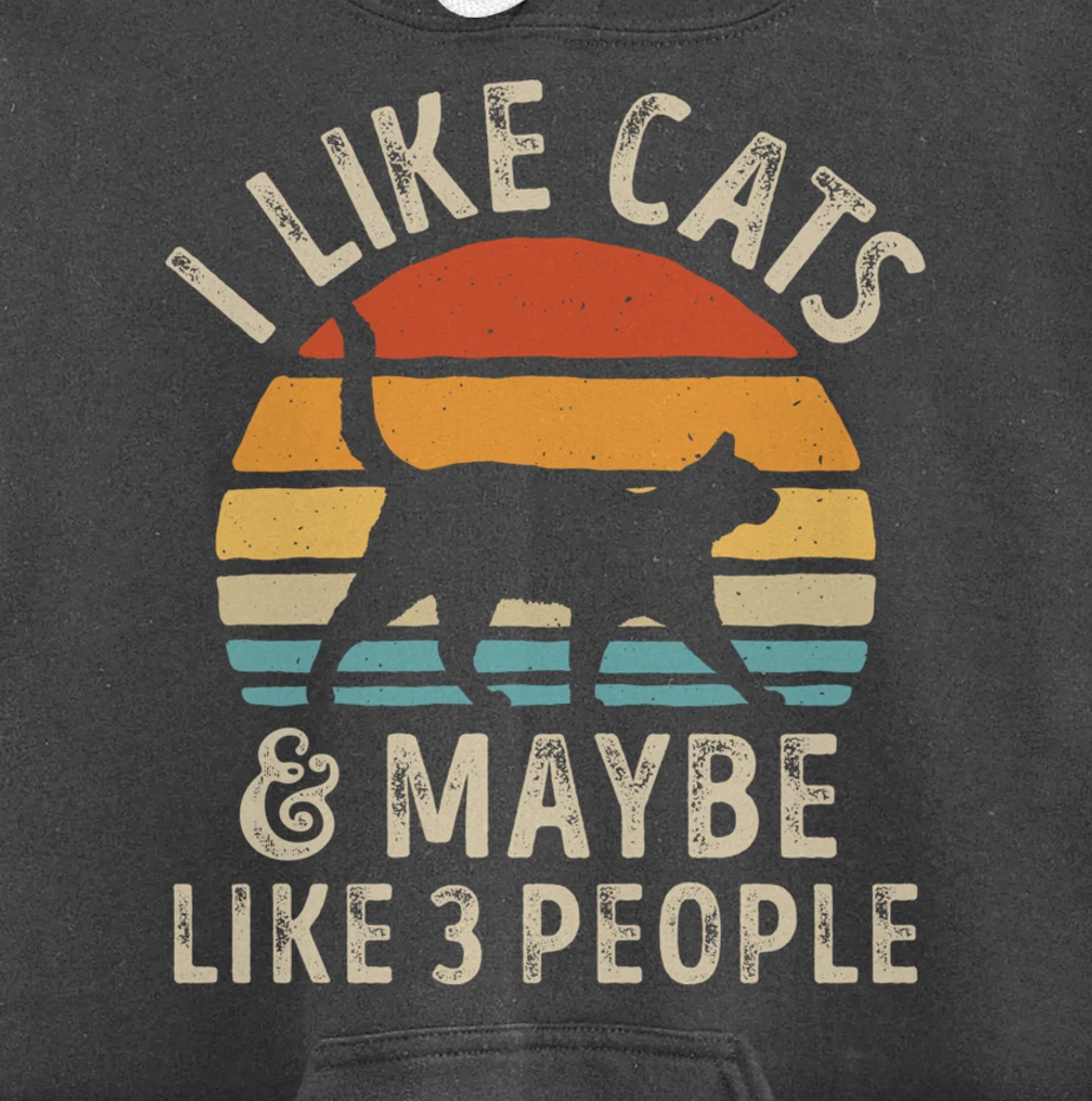 I Like Cats And Maybe Like 3 People Cat Retro Men Pullover Hoodie