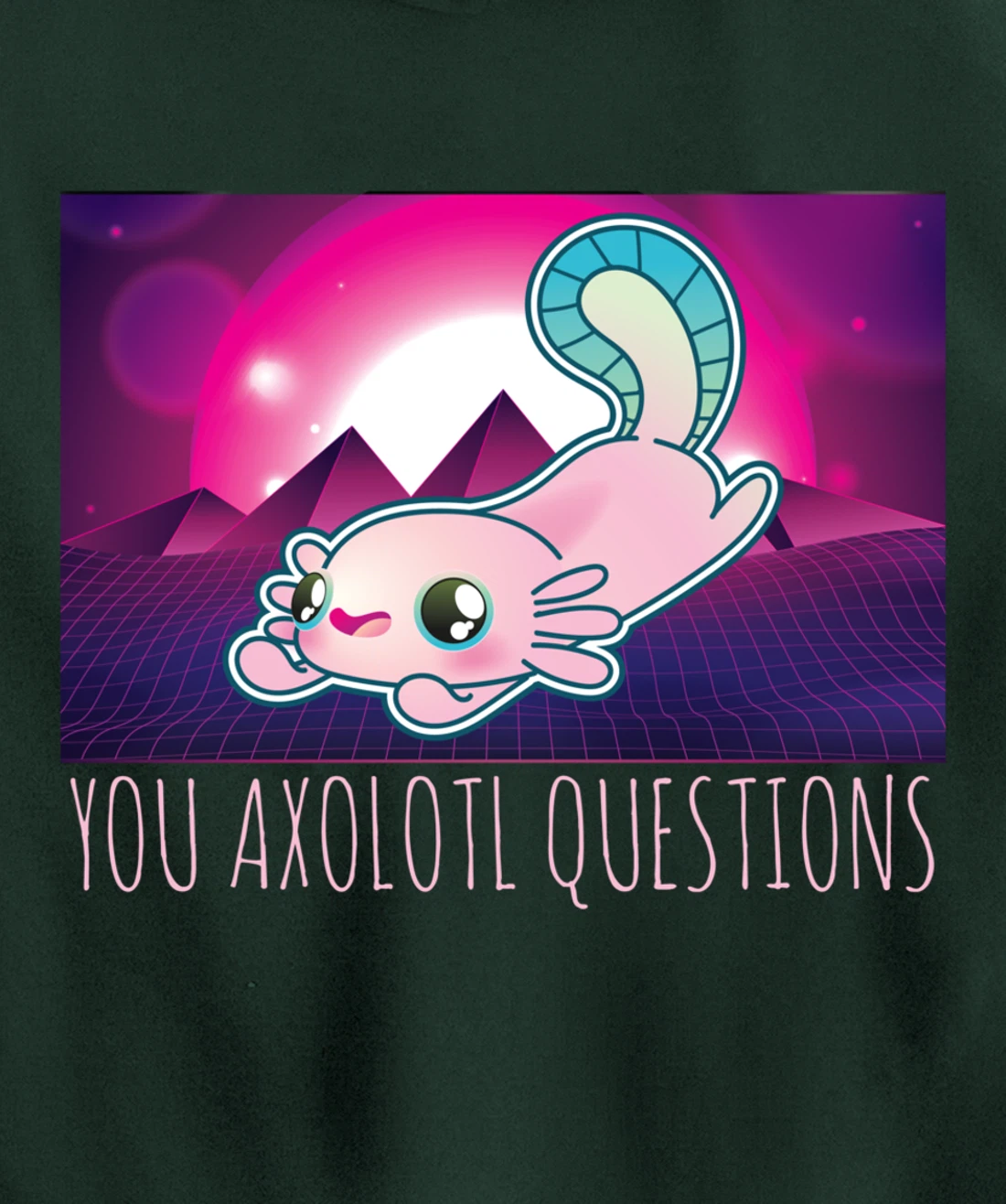 You Axolotl Questions Funny Animal Pun Vaporwave Aesthetic Pullover Hoodie