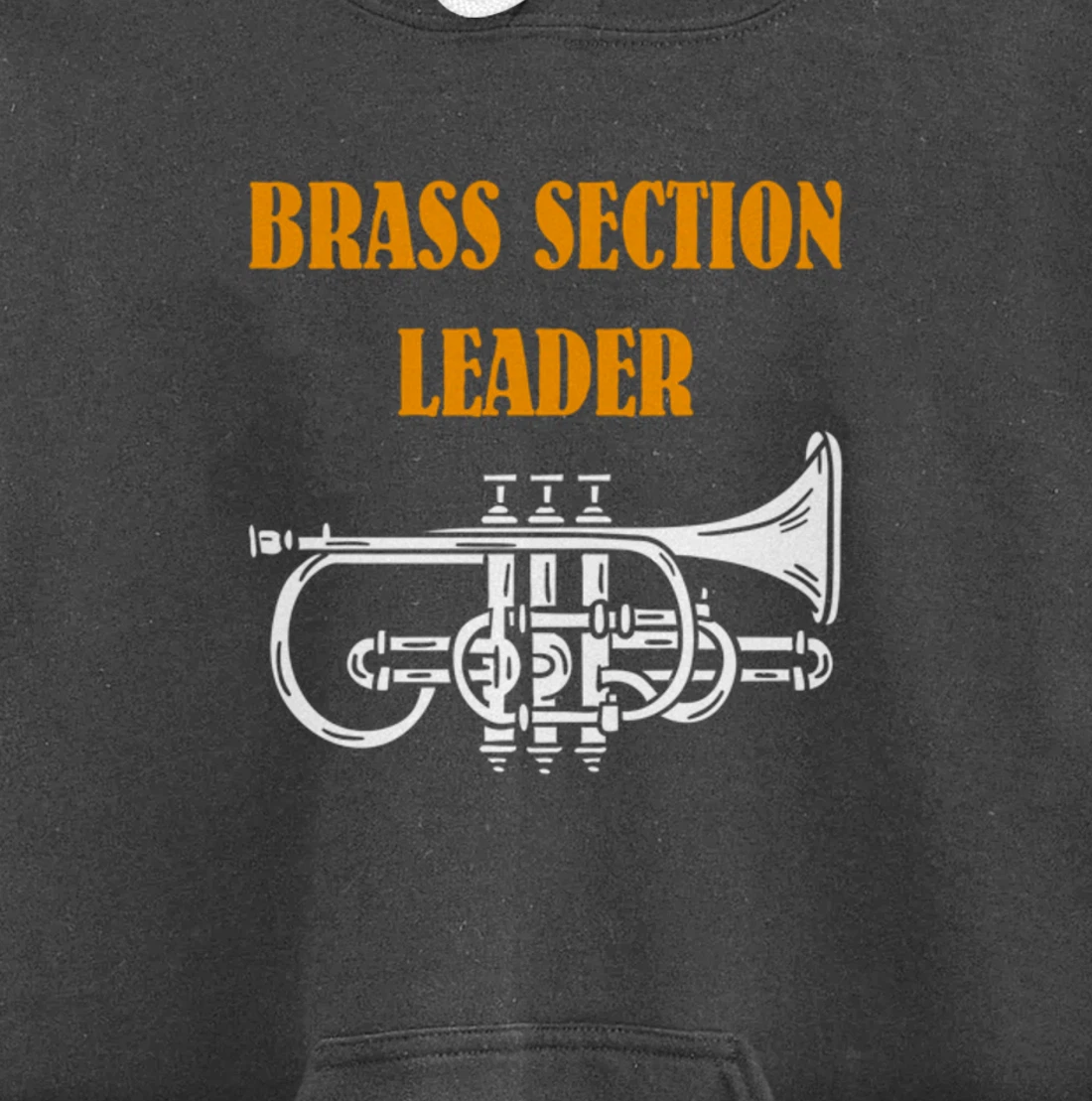 Section Leader Brass Musician Music Lover Pullover Hoodie