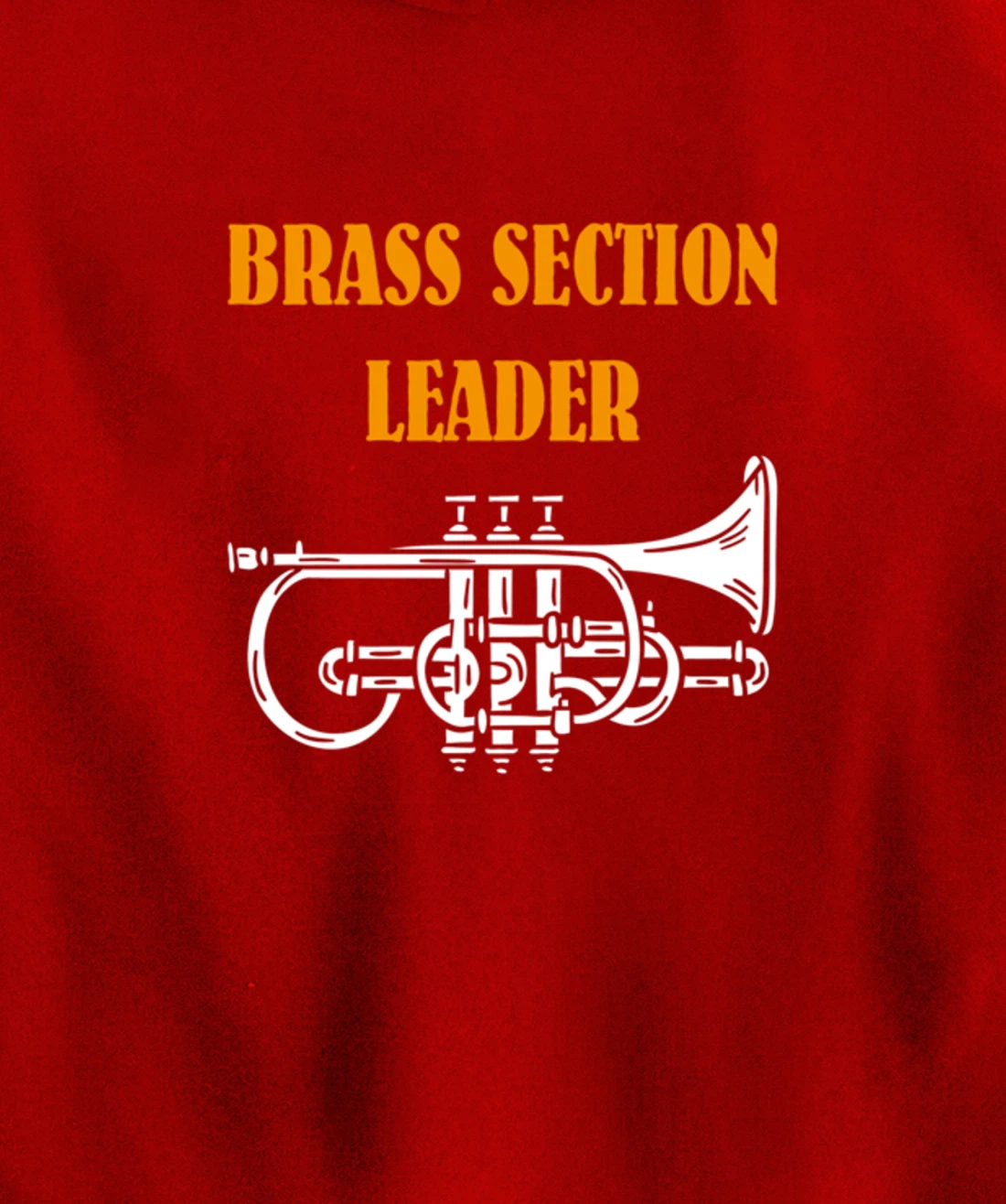 Section Leader Brass Musician Music Lover Pullover Hoodie
