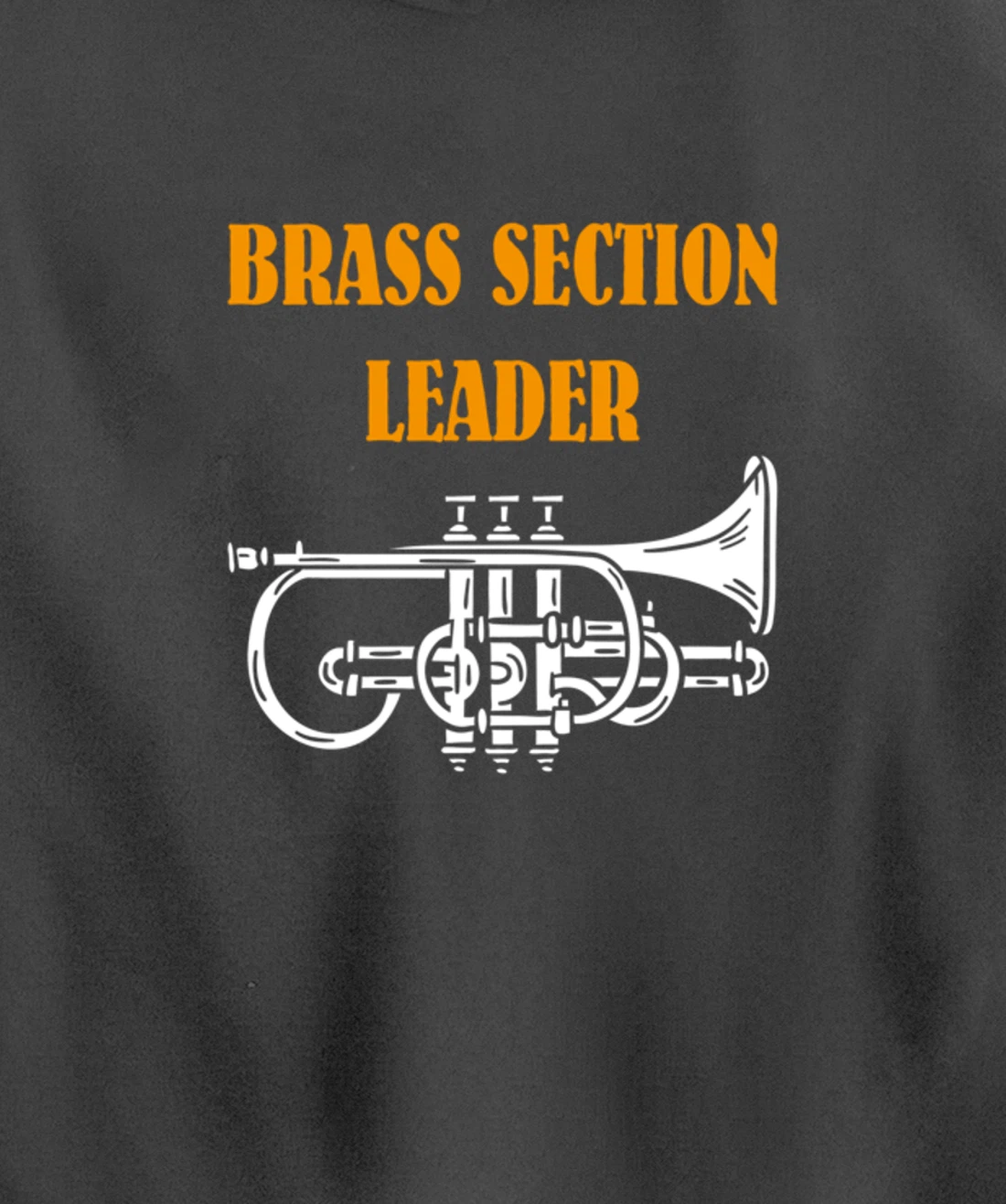 Section Leader Brass Musician Music Lover Pullover Hoodie
