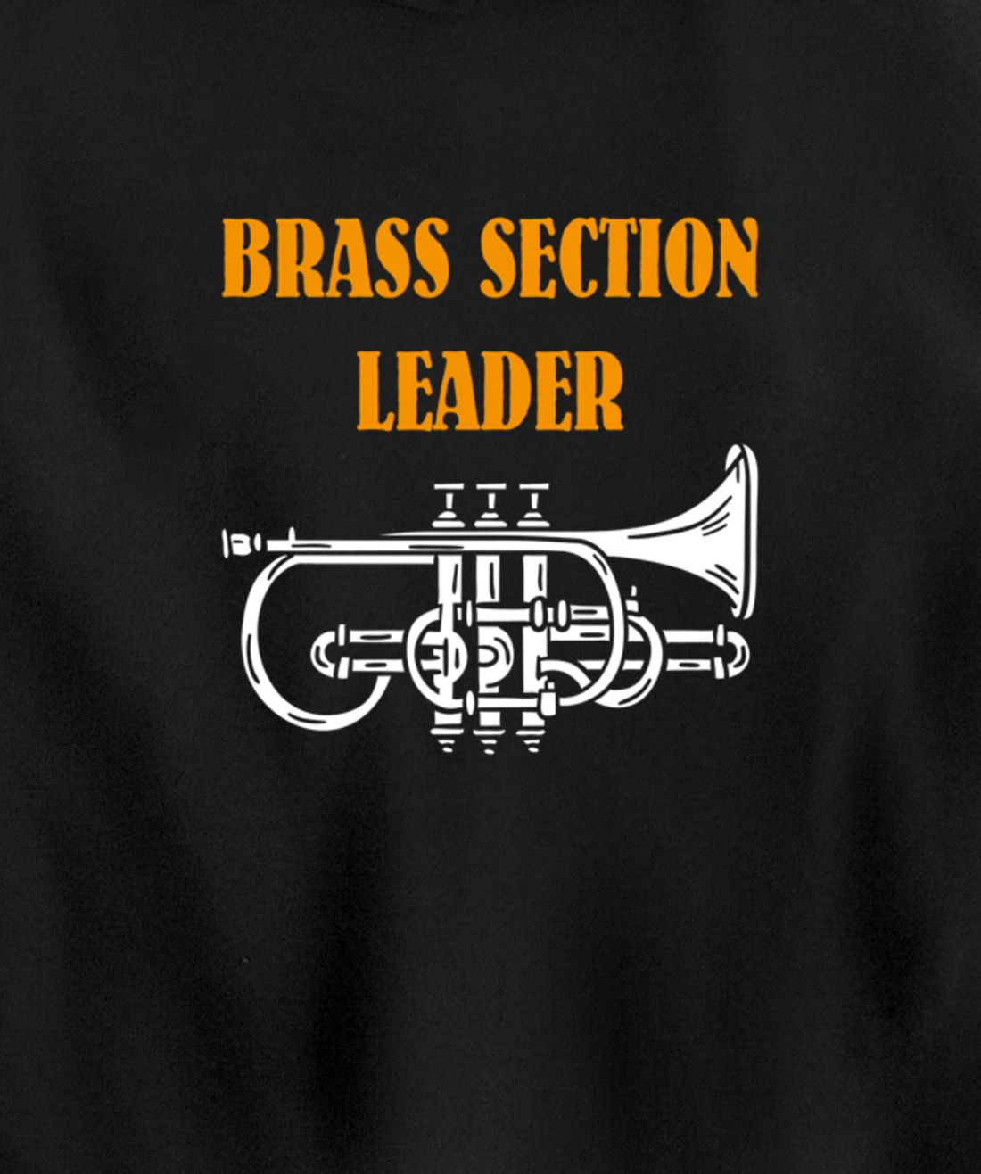 Section Leader Brass Musician Music Lover Pullover Hoodie