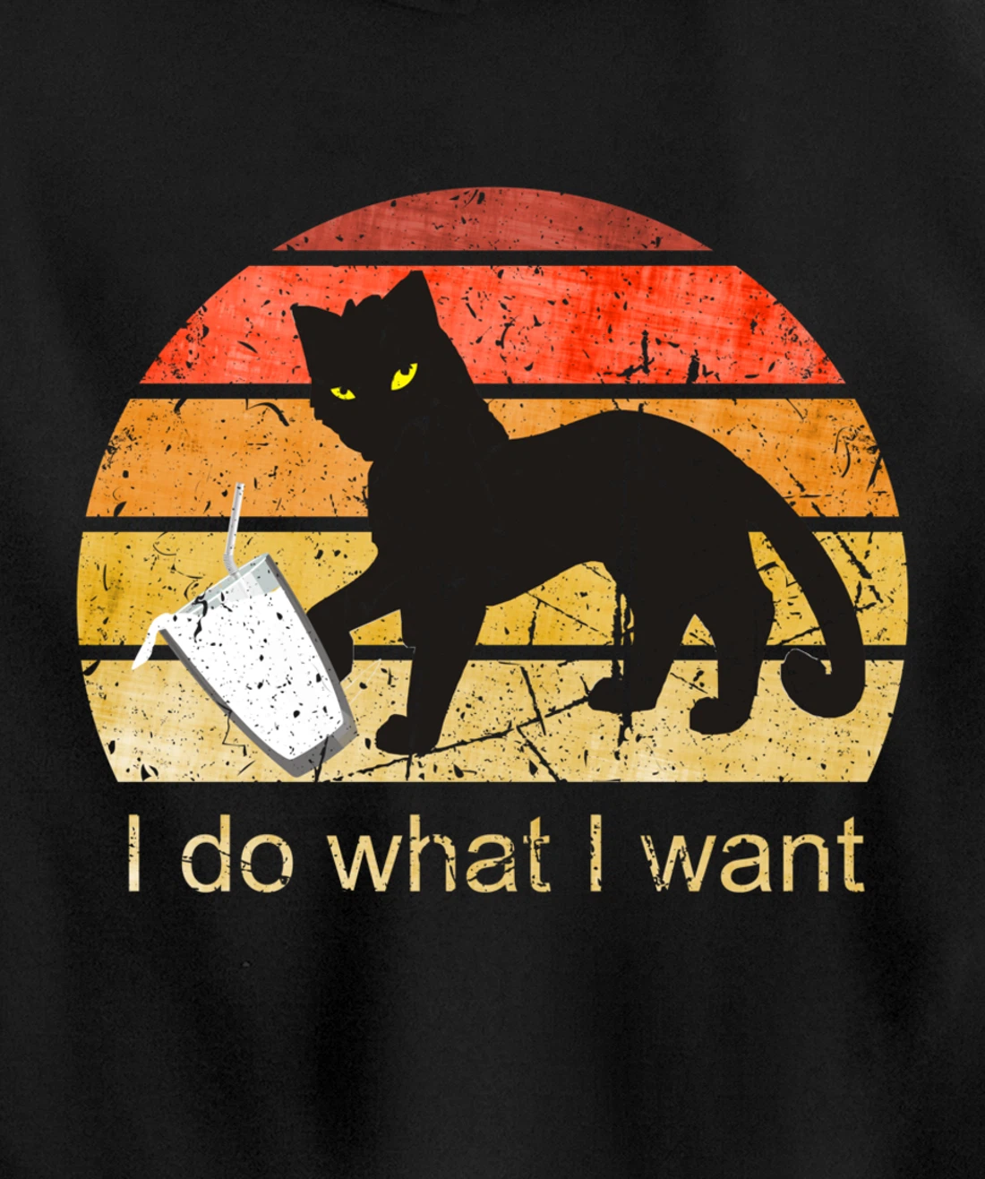 I DO WHAT I WANT CAT, CAT, 70th, 80th, CAT LOVER, VINTAGE Pullover Hoodie