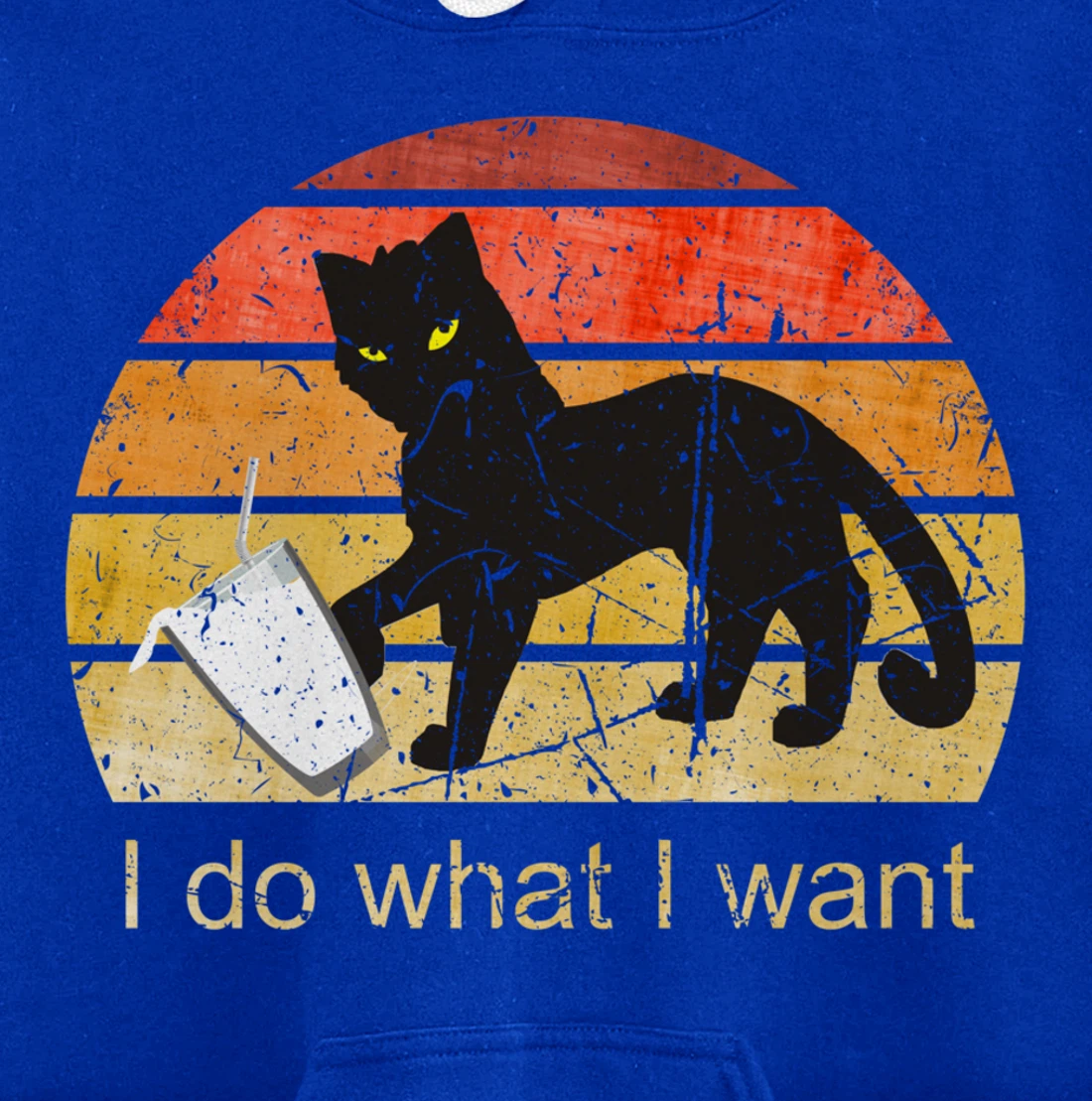 I DO WHAT I WANT CAT, CAT, 70th, 80th, CAT LOVER, VINTAGE Pullover Hoodie