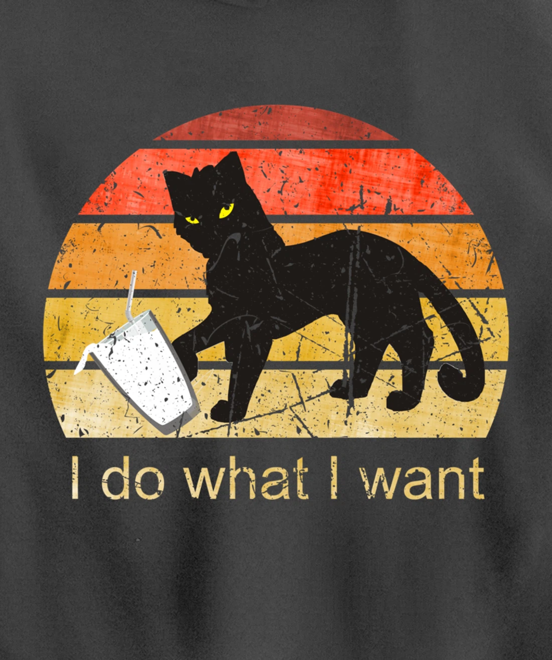 I DO WHAT I WANT CAT, CAT, 70th, 80th, CAT LOVER, VINTAGE Pullover Hoodie