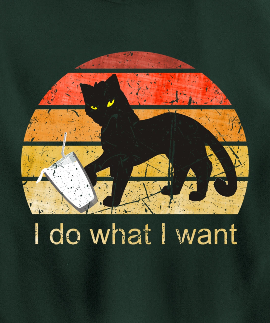 I DO WHAT I WANT CAT, CAT, 70th, 80th, CAT LOVER, VINTAGE Pullover Hoodie