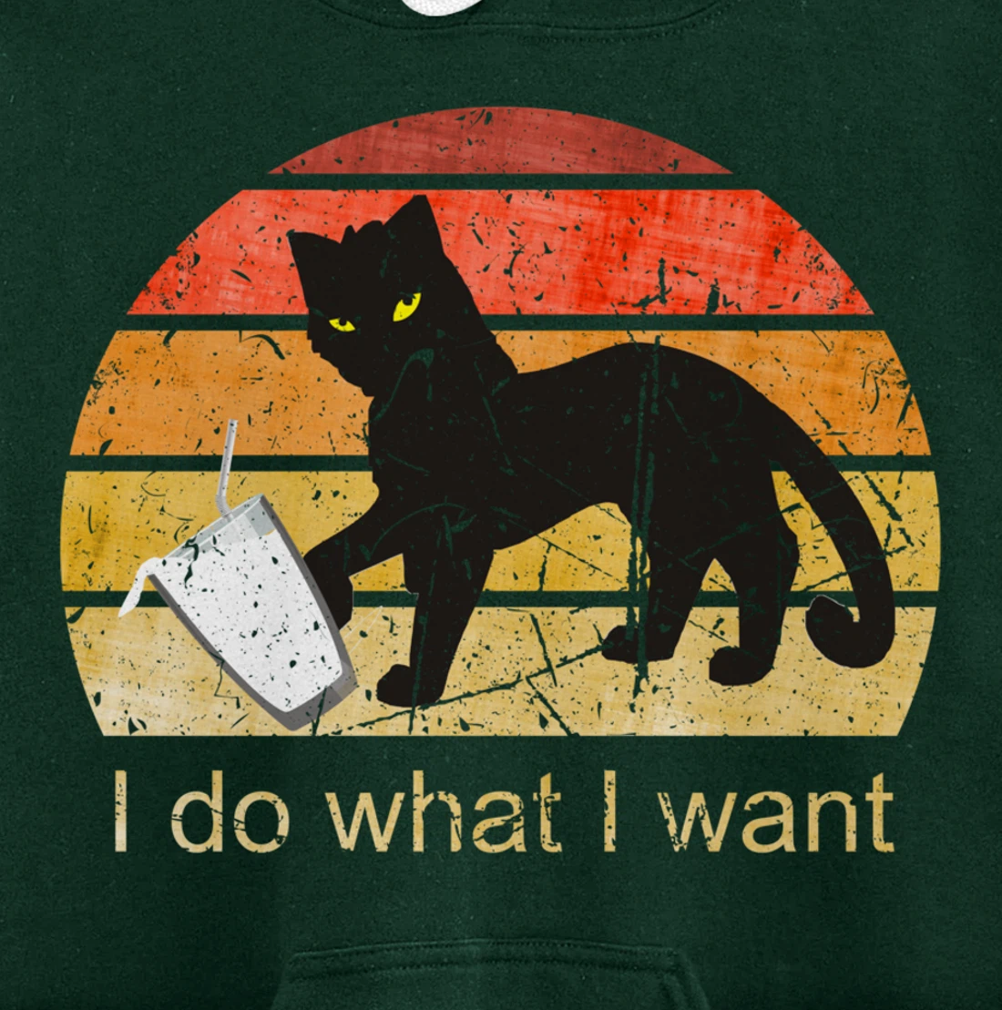 I DO WHAT I WANT CAT, CAT, 70th, 80th, CAT LOVER, VINTAGE Pullover Hoodie