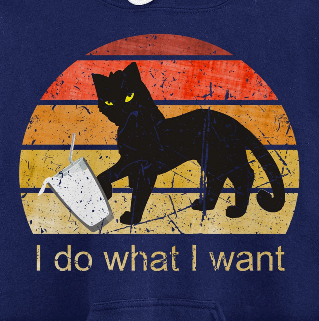 I DO WHAT I WANT CAT, CAT, 70th, 80th, CAT LOVER, VINTAGE Pullover Hoodie