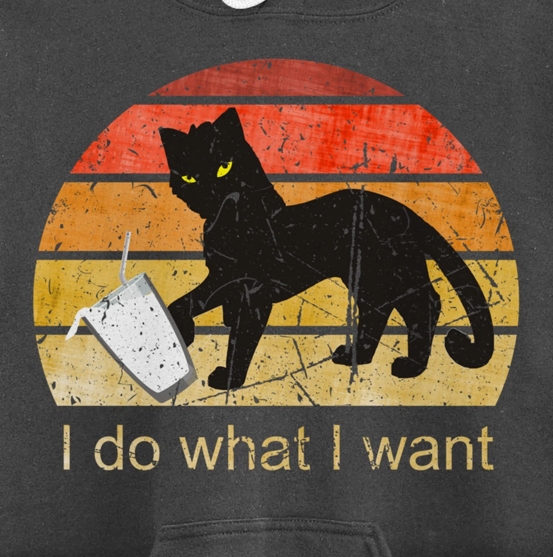 I DO WHAT I WANT CAT, CAT, 70th, 80th, CAT LOVER, VINTAGE Pullover Hoodie