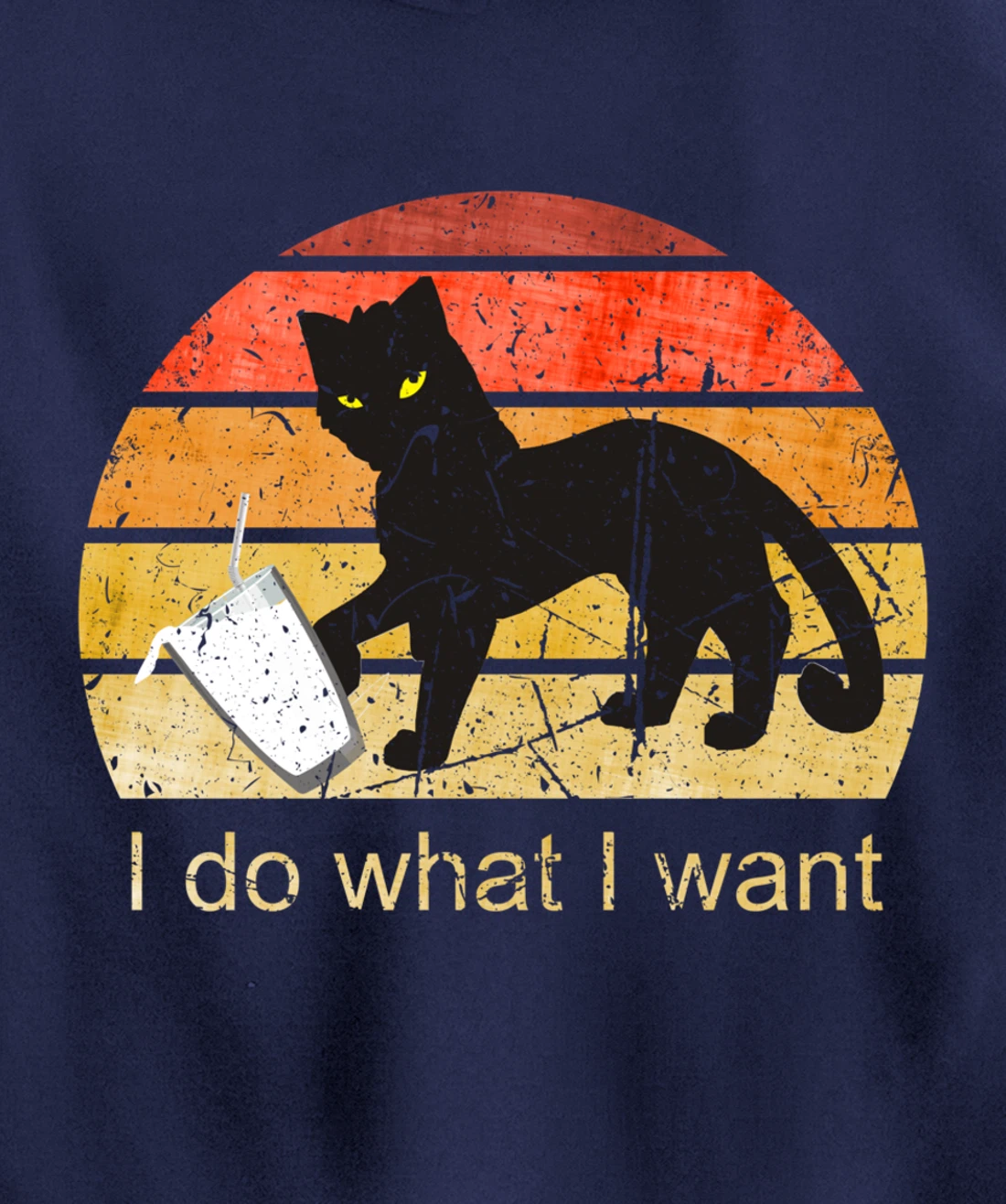 I DO WHAT I WANT CAT, CAT, 70th, 80th, CAT LOVER, VINTAGE Pullover Hoodie