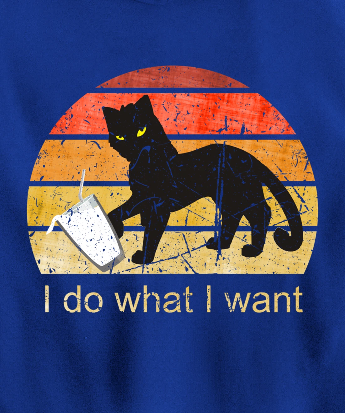 I DO WHAT I WANT CAT, CAT, 70th, 80th, CAT LOVER, VINTAGE Pullover Hoodie