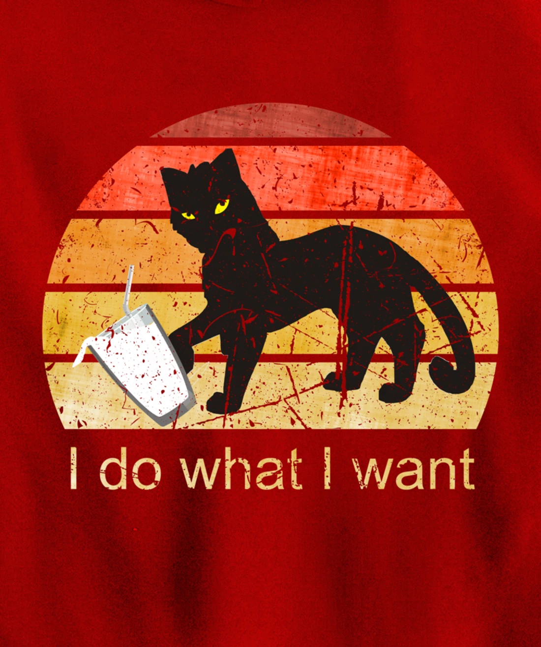 I DO WHAT I WANT CAT, CAT, 70th, 80th, CAT LOVER, VINTAGE Pullover Hoodie