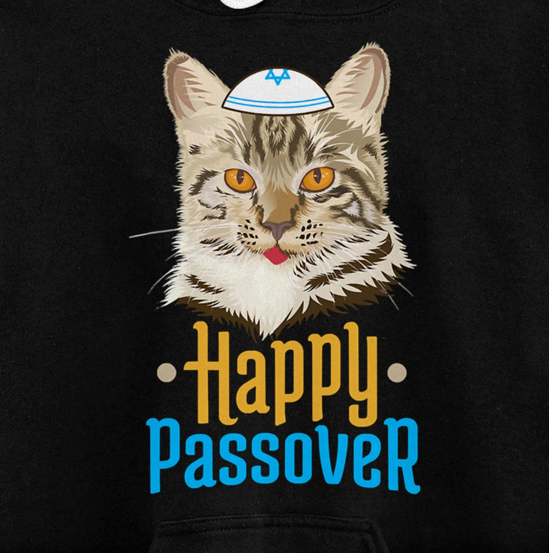 Hanukkah Passover Happy Passover Funny Cat Pullover Hoodie