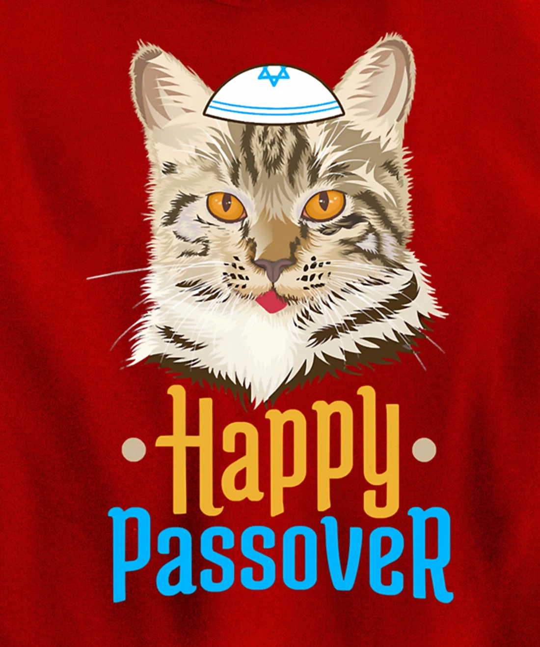 Hanukkah Passover Happy Passover Funny Cat Pullover Hoodie