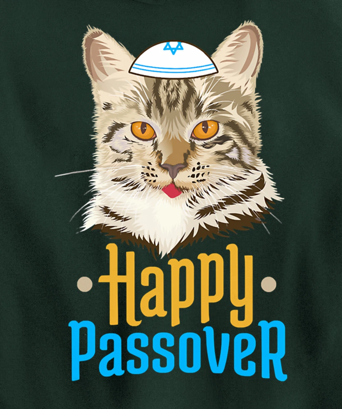 Hanukkah Passover Happy Passover Funny Cat Pullover Hoodie