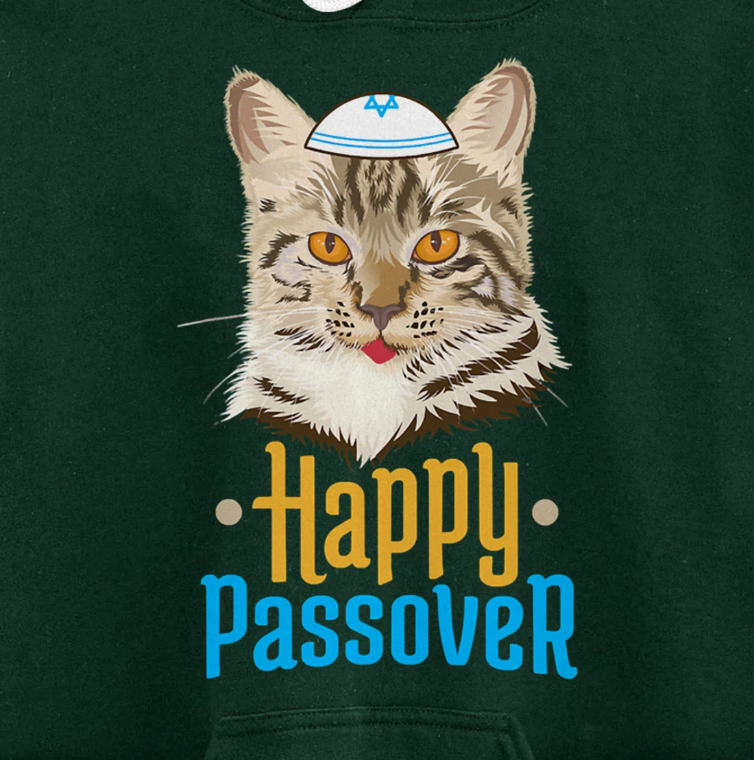 Hanukkah Passover Happy Passover Funny Cat Pullover Hoodie
