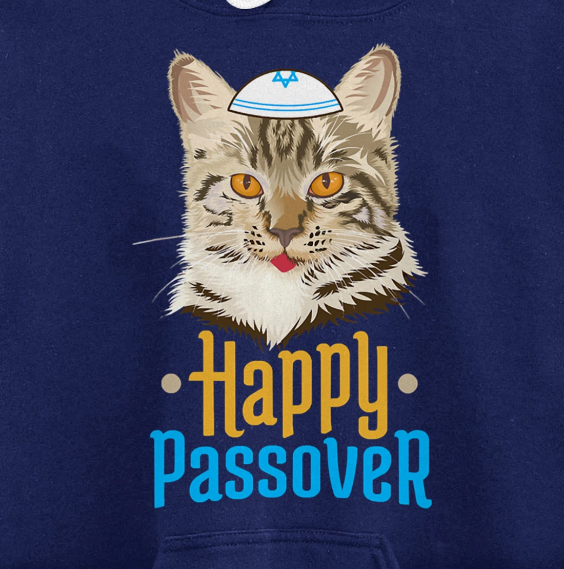 Hanukkah Passover Happy Passover Funny Cat Pullover Hoodie