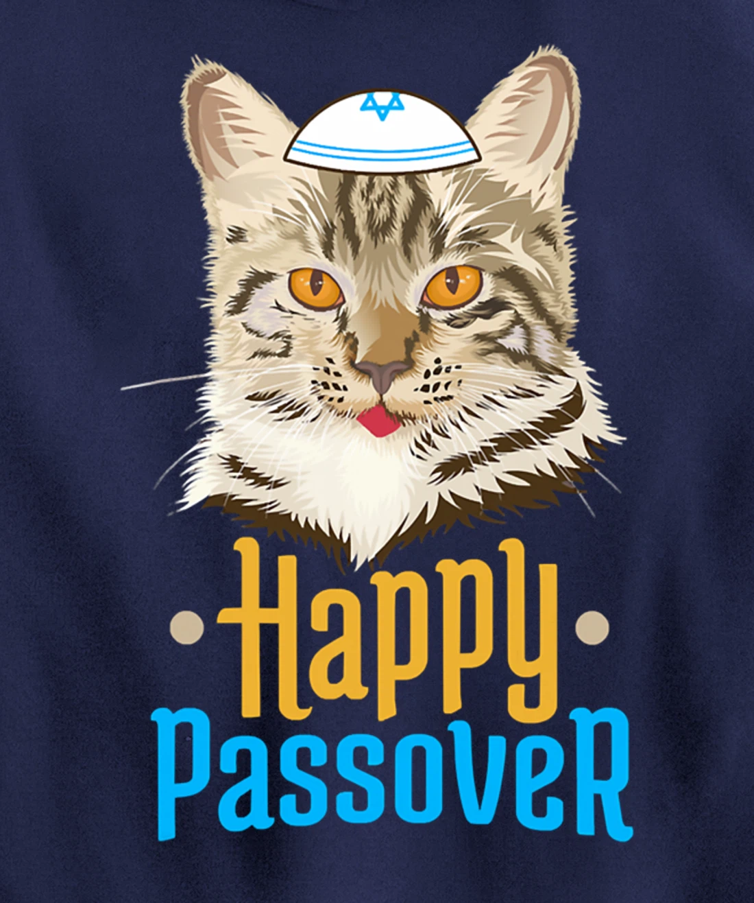 Hanukkah Passover Happy Passover Funny Cat Pullover Hoodie