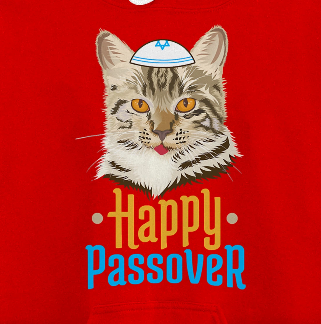 Hanukkah Passover Happy Passover Funny Cat Pullover Hoodie
