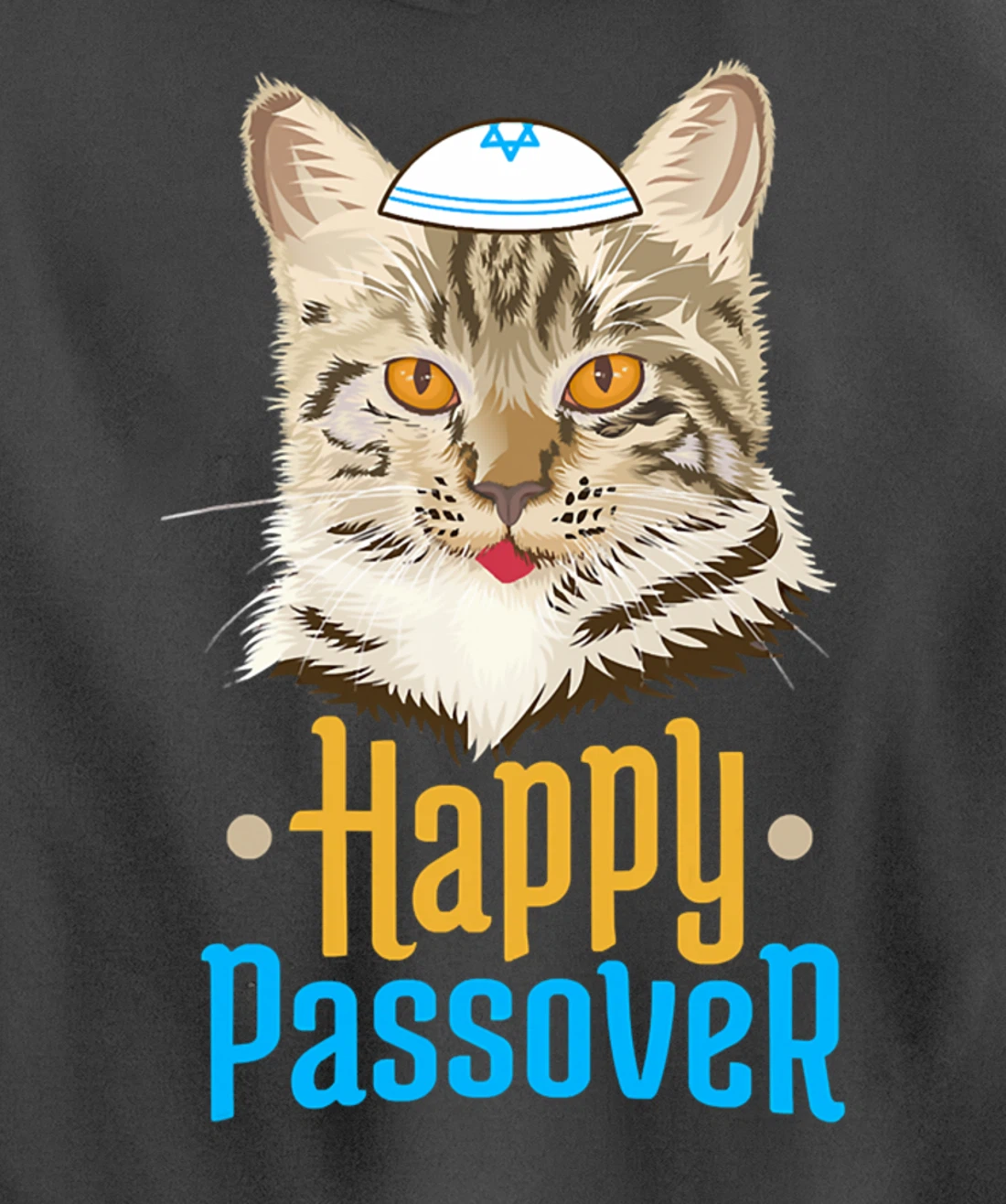 Hanukkah Passover Happy Passover Funny Cat Pullover Hoodie