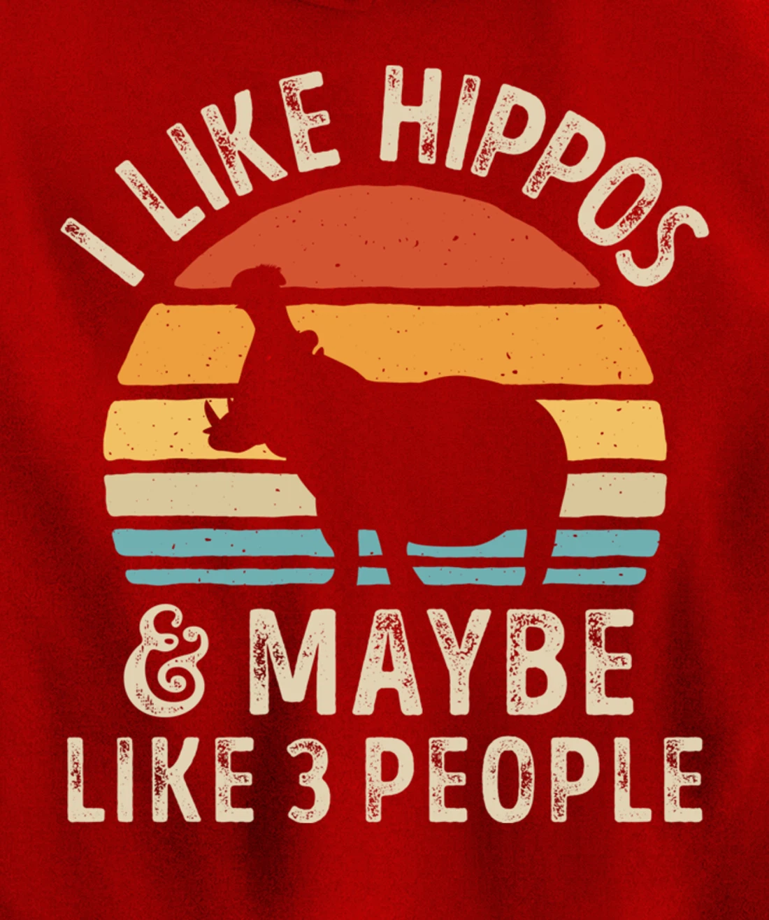 I Like Hippos And Maybe Like 3 People Hippo Hippopotamus Pullover Hoodie