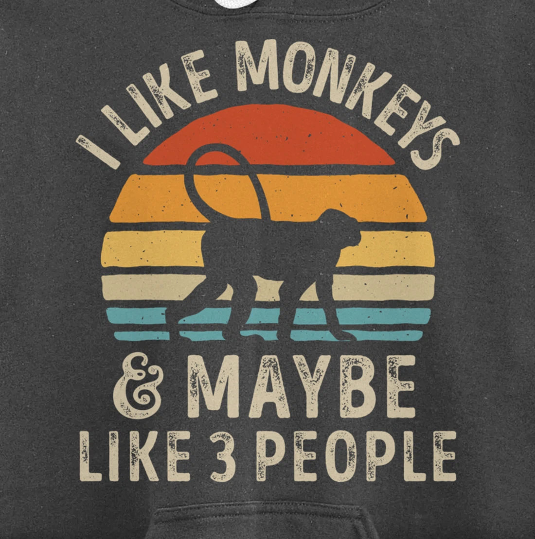 I Like Monkeys And Maybe Like 3 People Monkey Lover Retro Pullover Hoodie