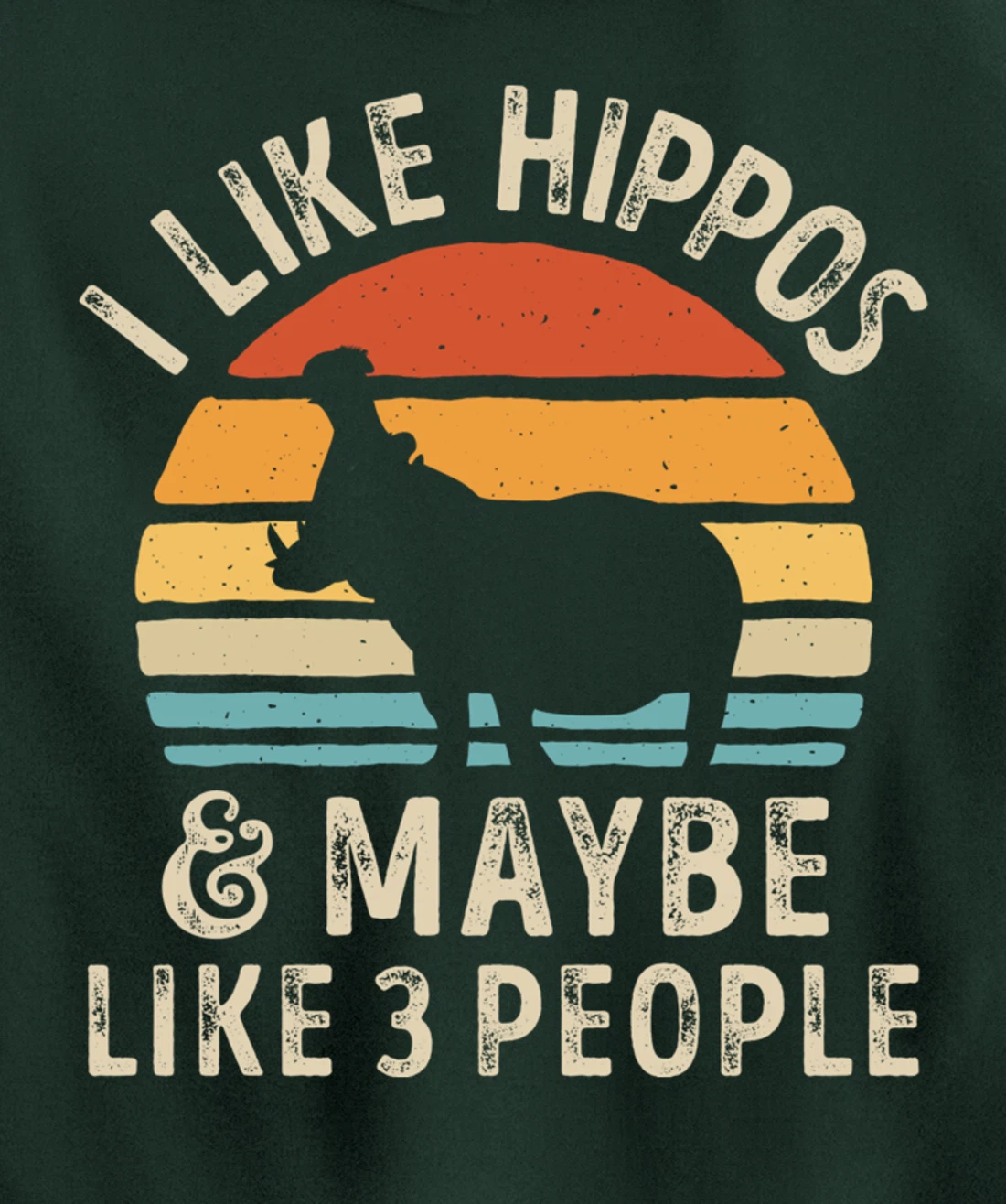 I Like Hippos And Maybe Like 3 People Hippo Hippopotamus Pullover Hoodie