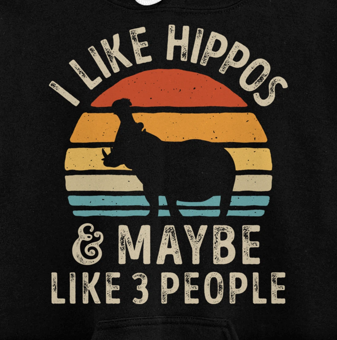 I Like Hippos And Maybe Like 3 People Hippo Hippopotamus Pullover Hoodie