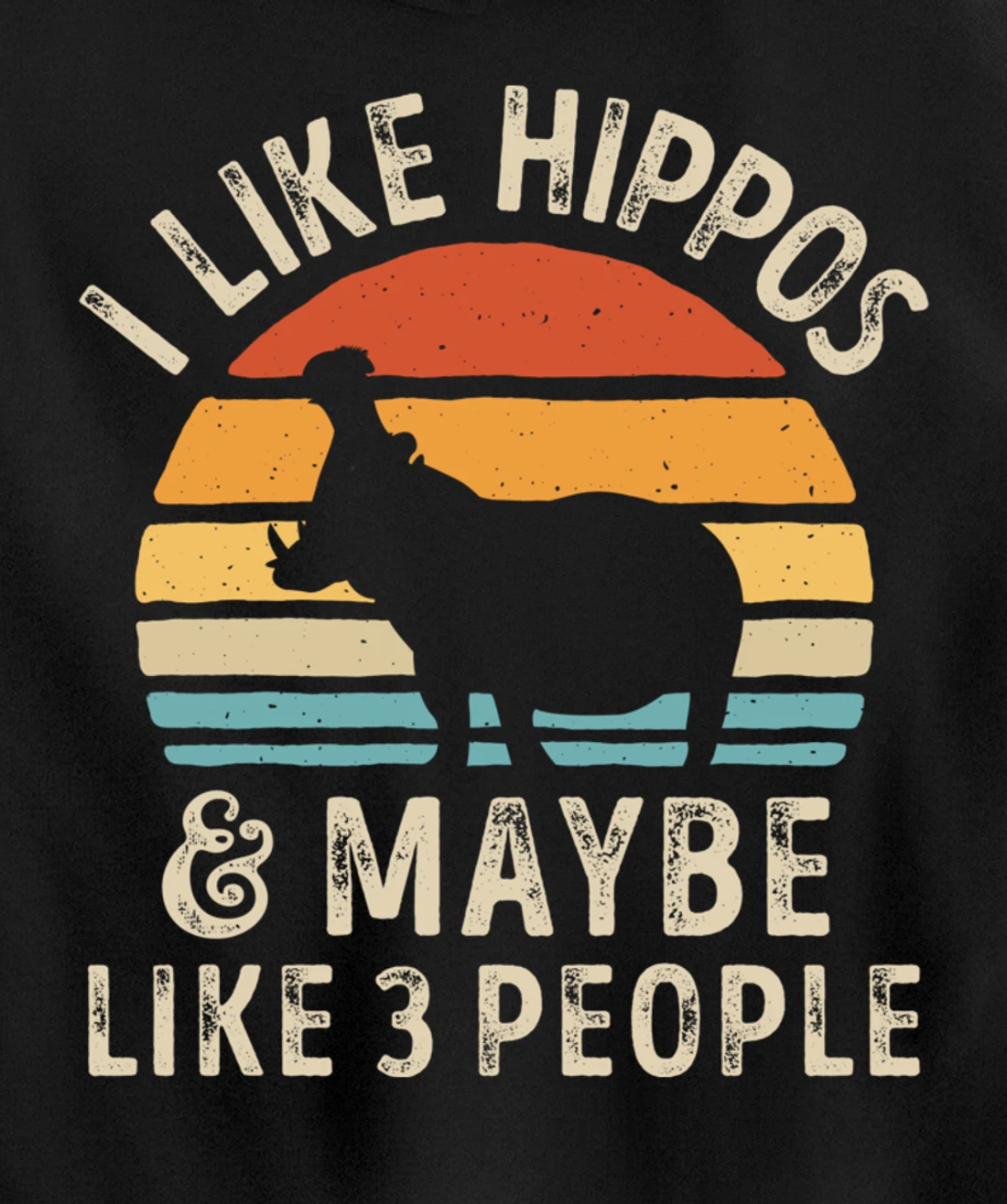 I Like Hippos And Maybe Like 3 People Hippo Hippopotamus Pullover Hoodie