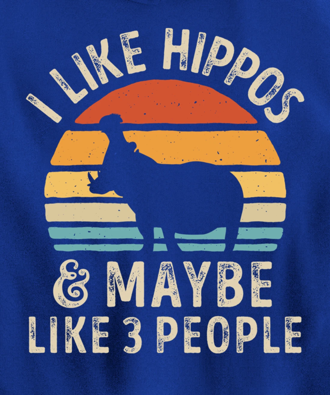 I Like Hippos And Maybe Like 3 People Hippo Hippopotamus Pullover Hoodie