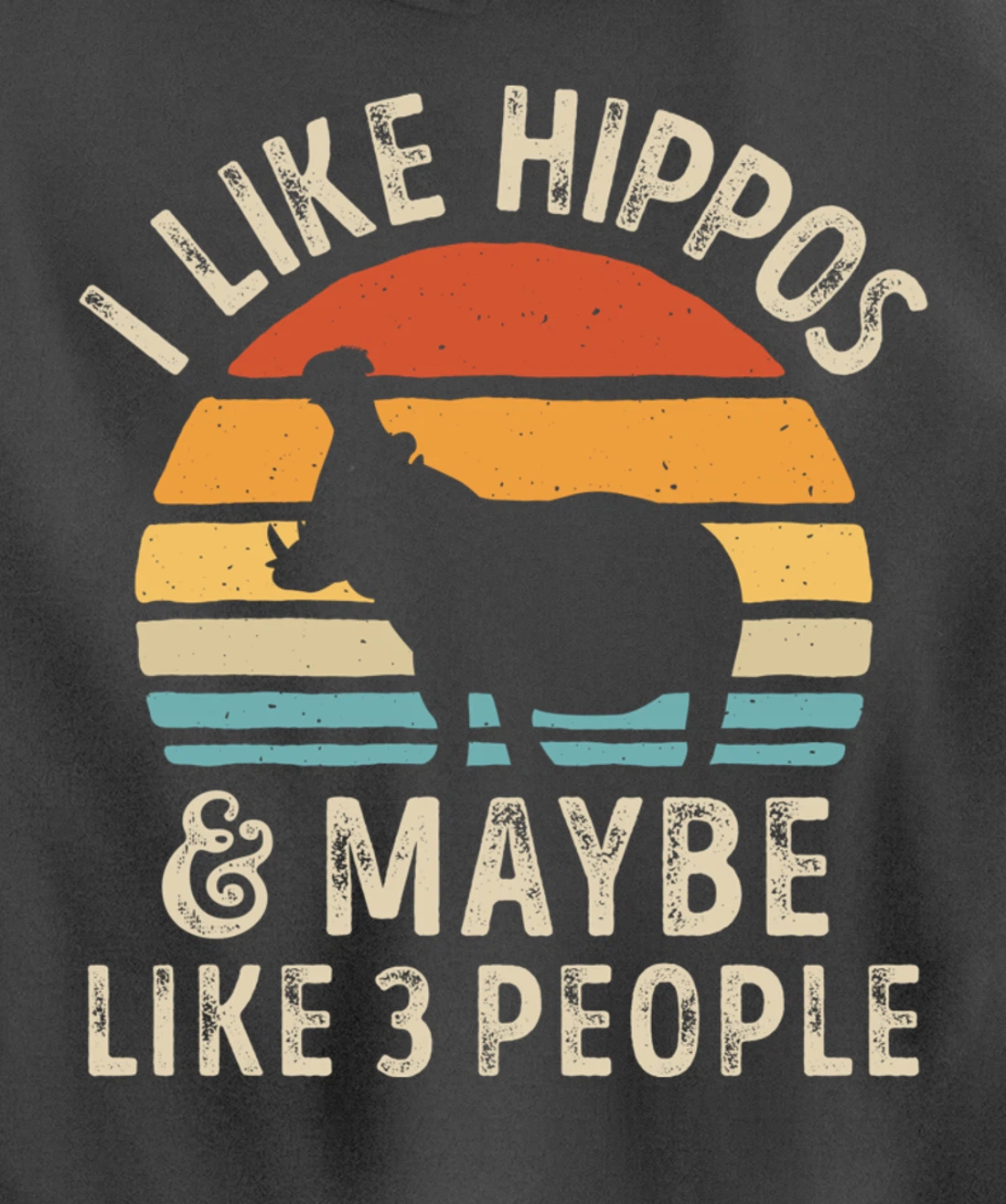 I Like Hippos And Maybe Like 3 People Hippo Hippopotamus Pullover Hoodie