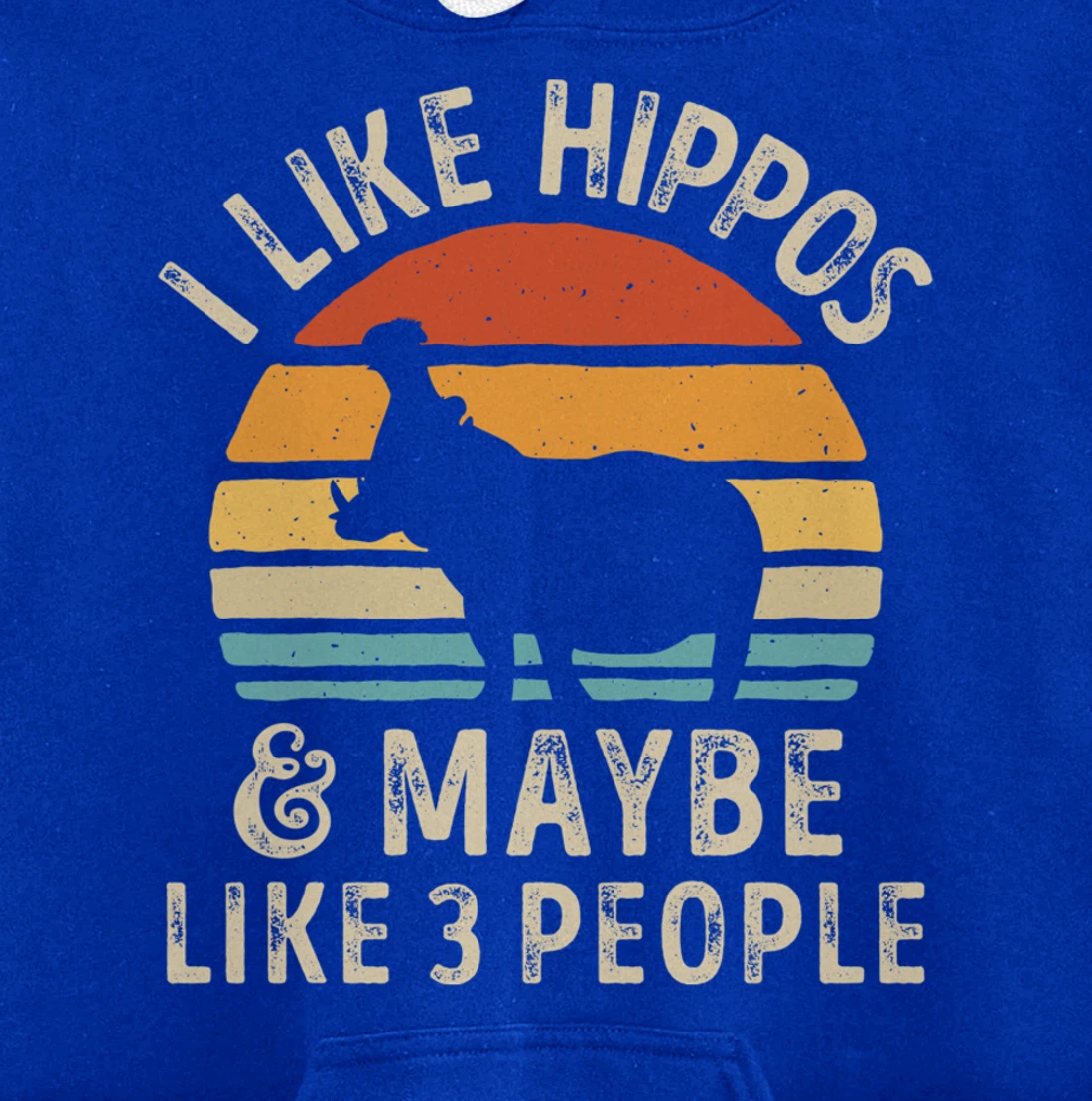 I Like Hippos And Maybe Like 3 People Hippo Hippopotamus Pullover Hoodie