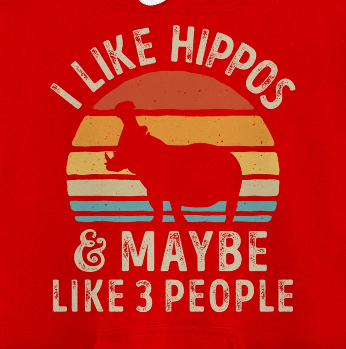 I Like Hippos And Maybe Like 3 People Hippo Hippopotamus Pullover Hoodie