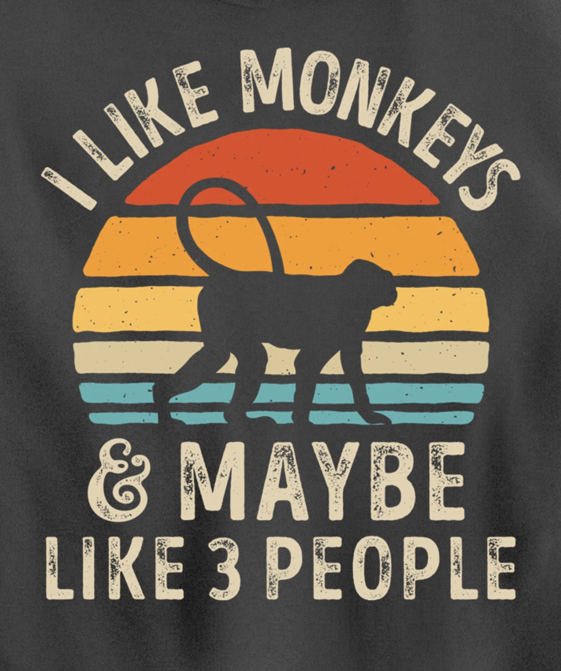 I Like Monkeys And Maybe Like 3 People Monkey Lover Retro Pullover Hoodie